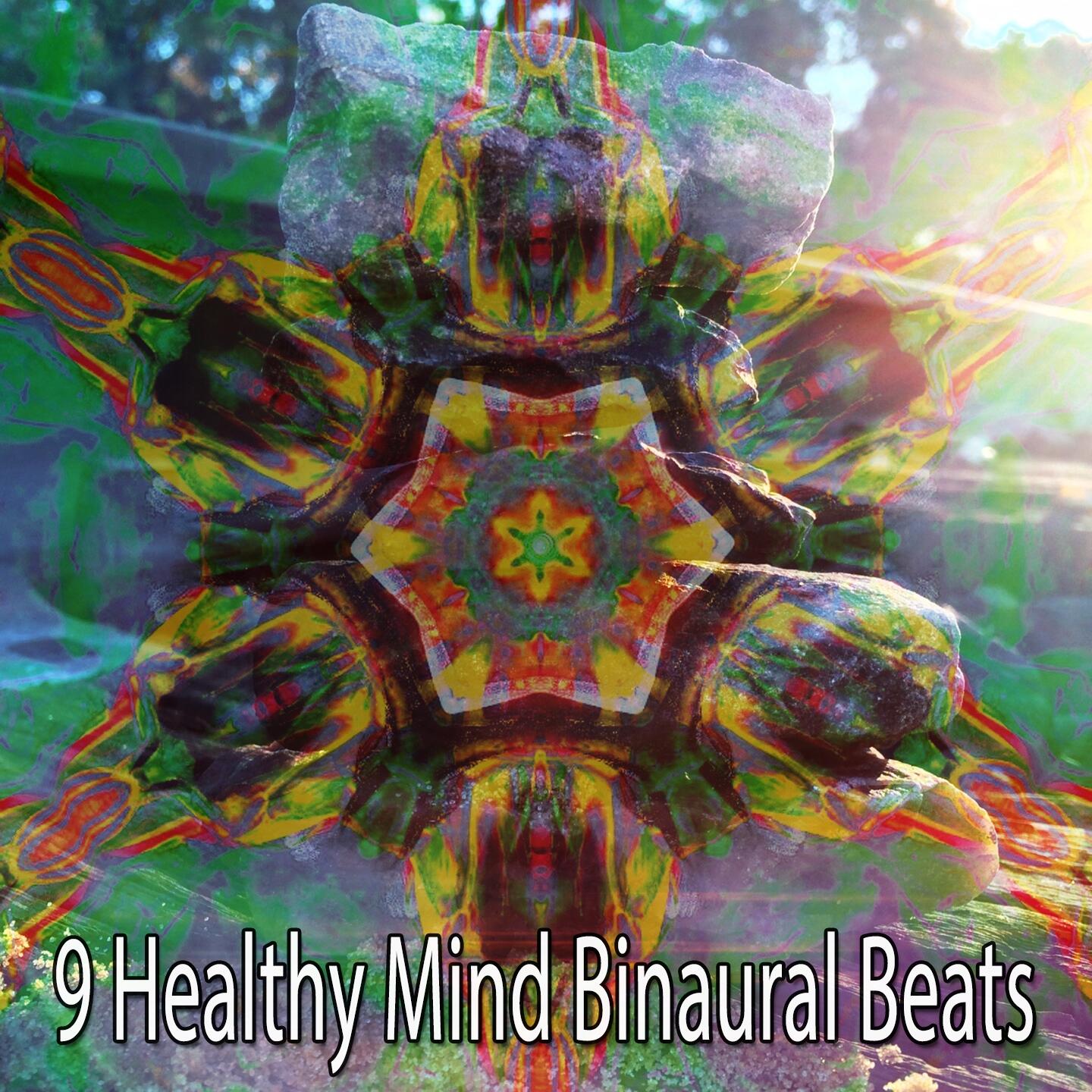 Binaural Beats Brain Waves Isochronic Tones Brain Wave Entrainment 9