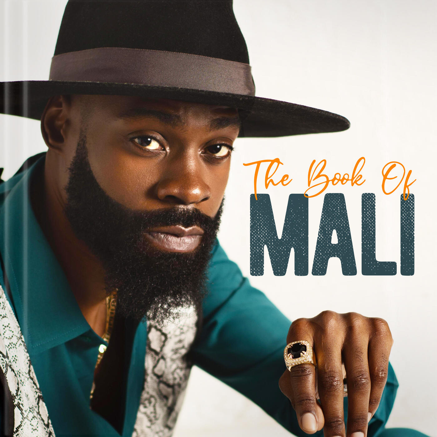 Mali Music Job Experience Download