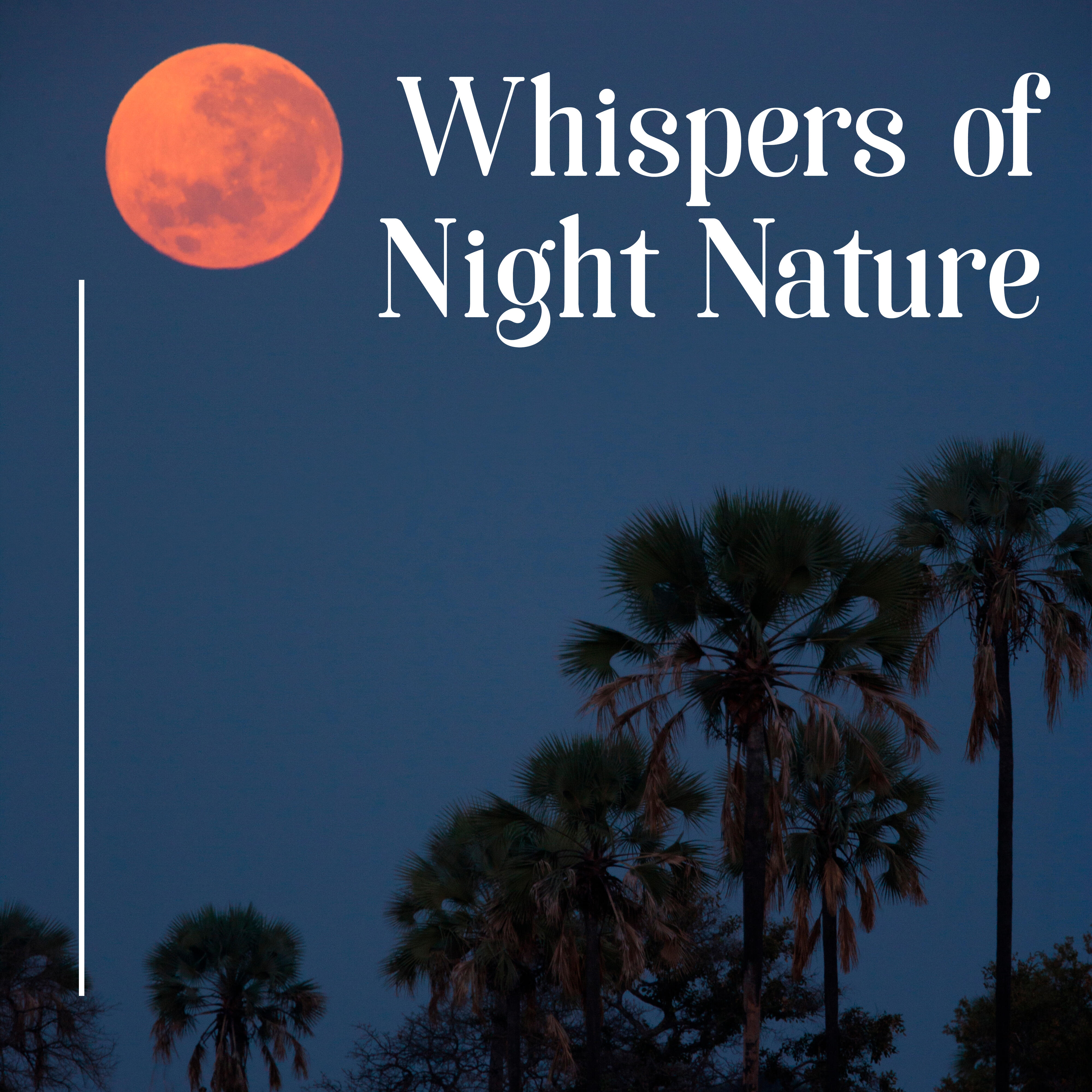 Relaxing Music - Whispers of Night Nature – Relaxing Nature Soundscapes ...