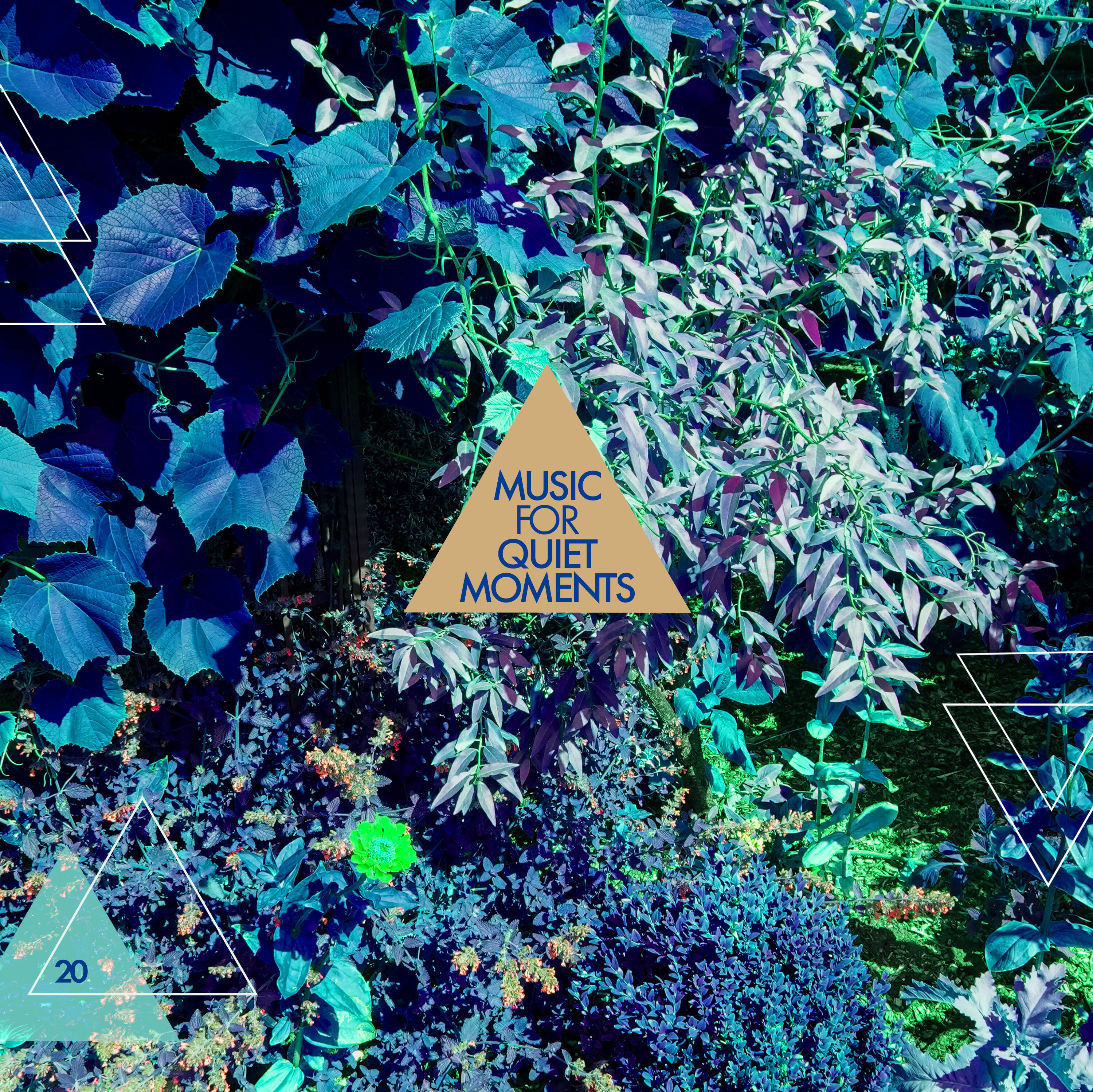 Robert Fripp Music For Quiet Moments 20 Pastorale iHeart