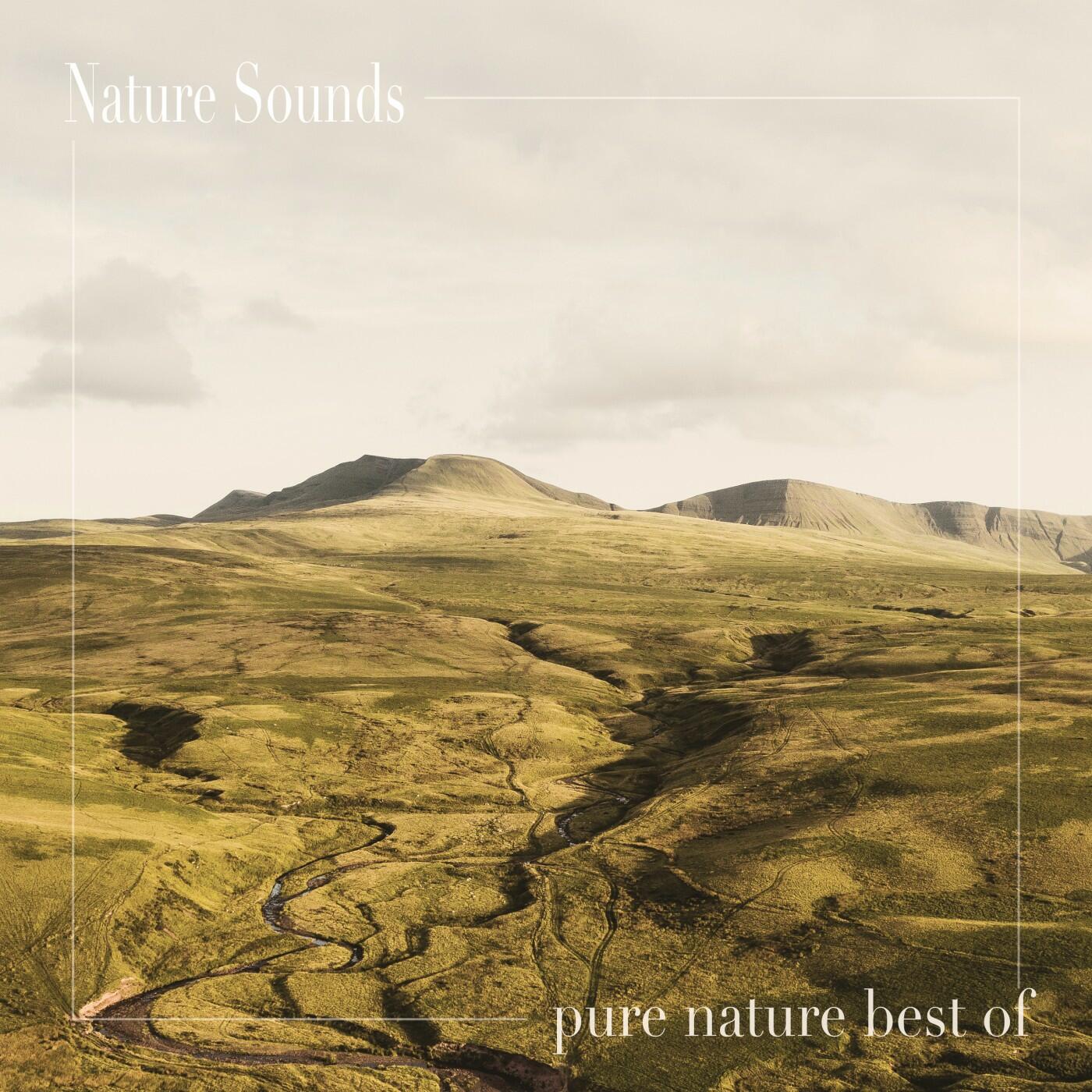 Nature Sounds - Pure Nature Best Of | iHeart