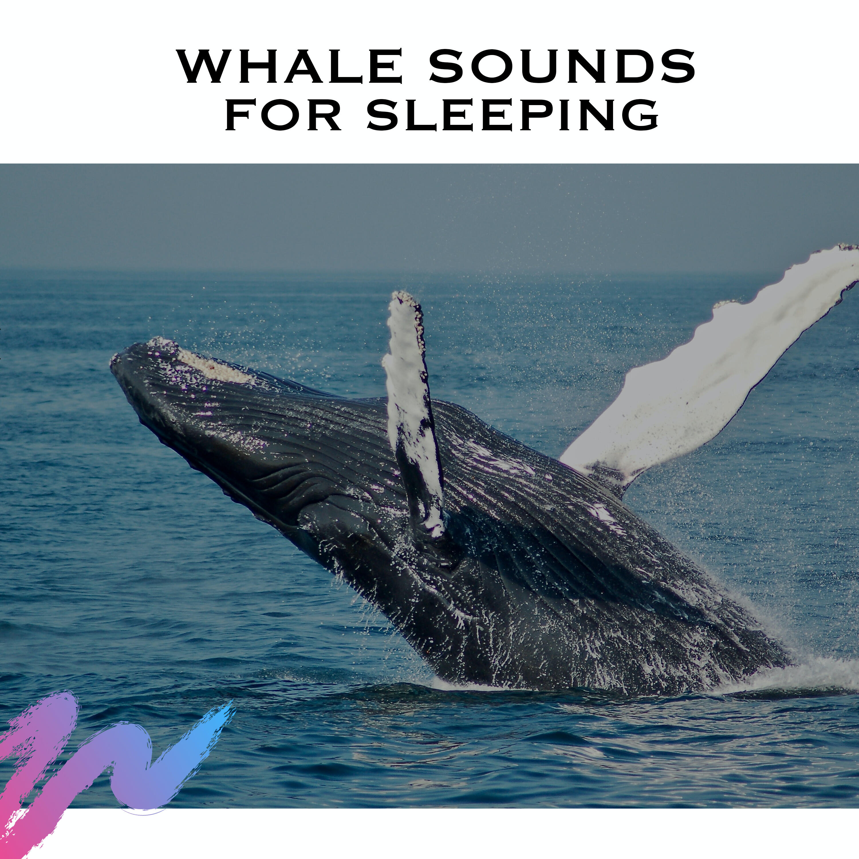 Ocean Waves Radiance - Whale Sounds for Sleeping | iHeart