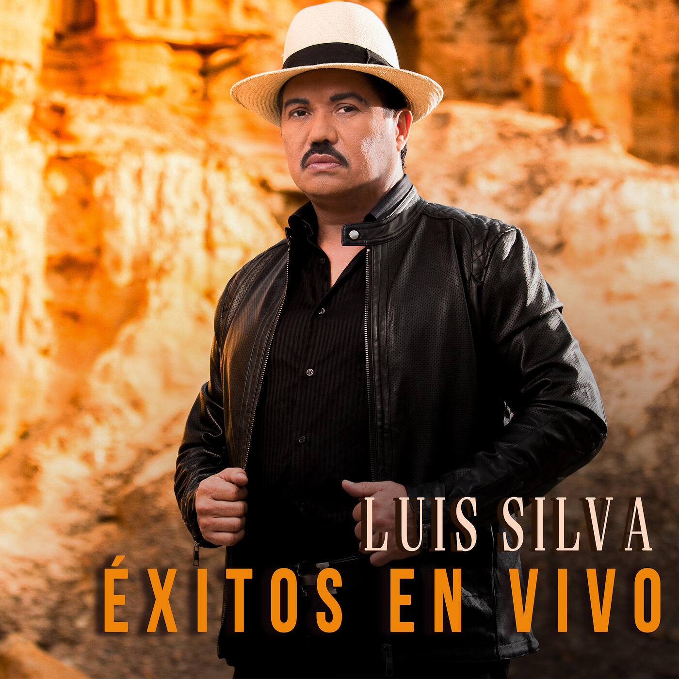 Luis Silva   Éxitos (En Vivo) | IHeart