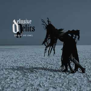 Delusive Relics - Shade of Owl | iHeart