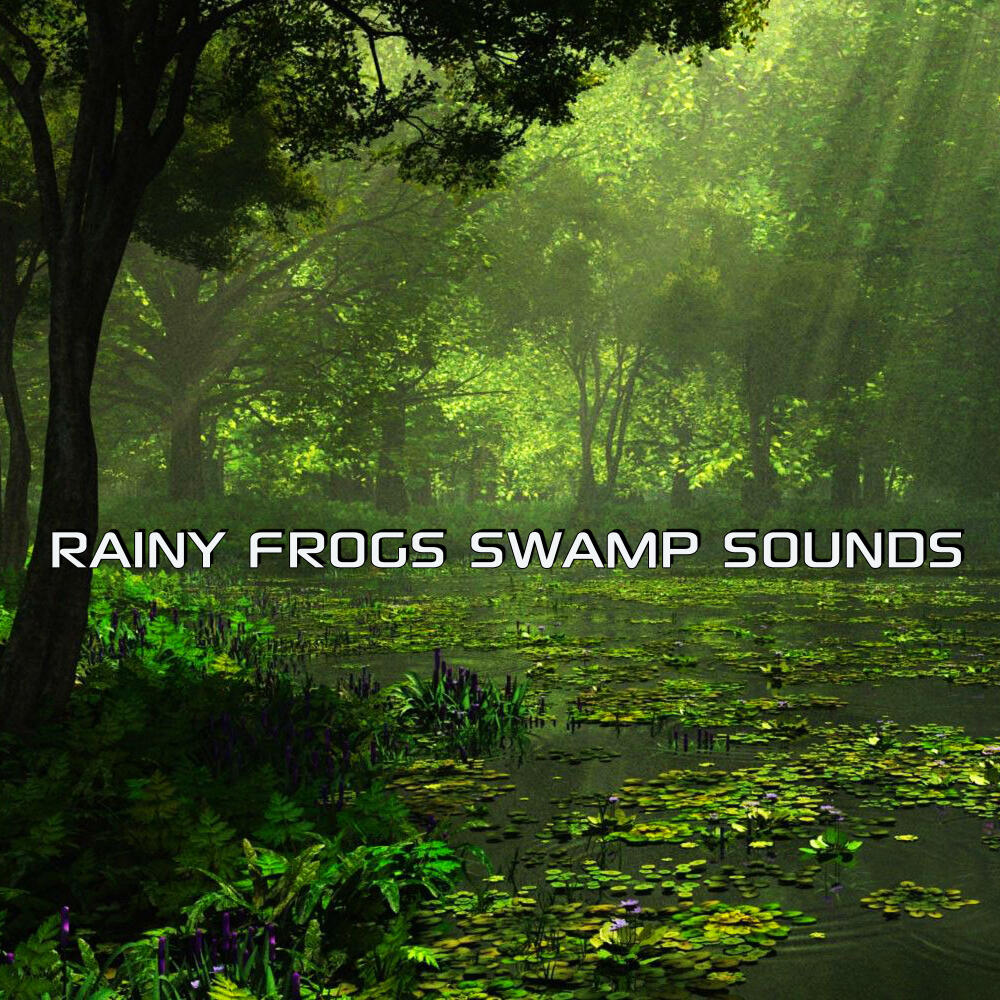 Rain & Frogs for Stress Relief - Rainy Frogs Swamp Sounds | iHeart