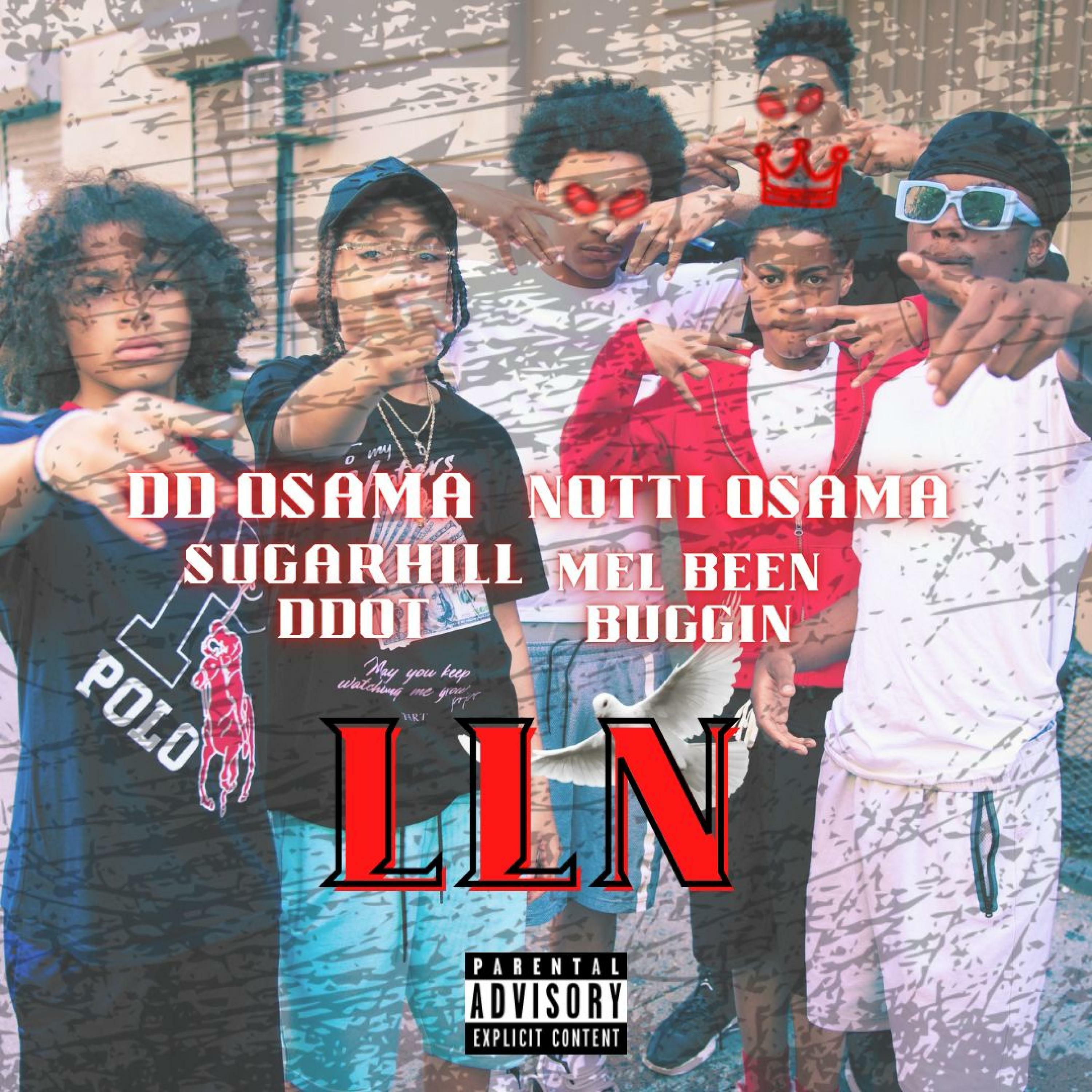 DD Osama - Long Live Notti | iHeart