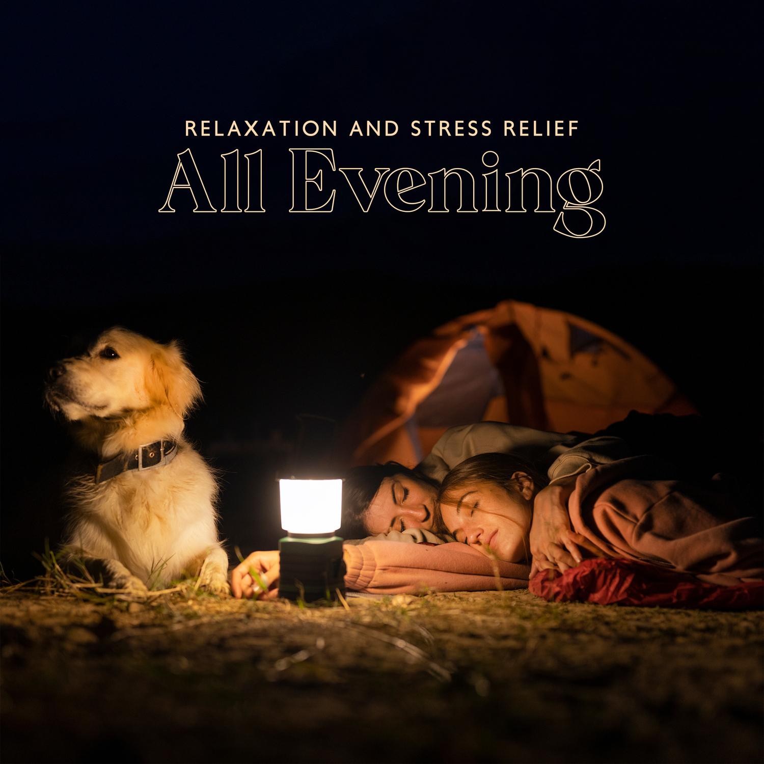 Calming Music Ensemble - Relaxation and Stress Relief All Evening | iHeart