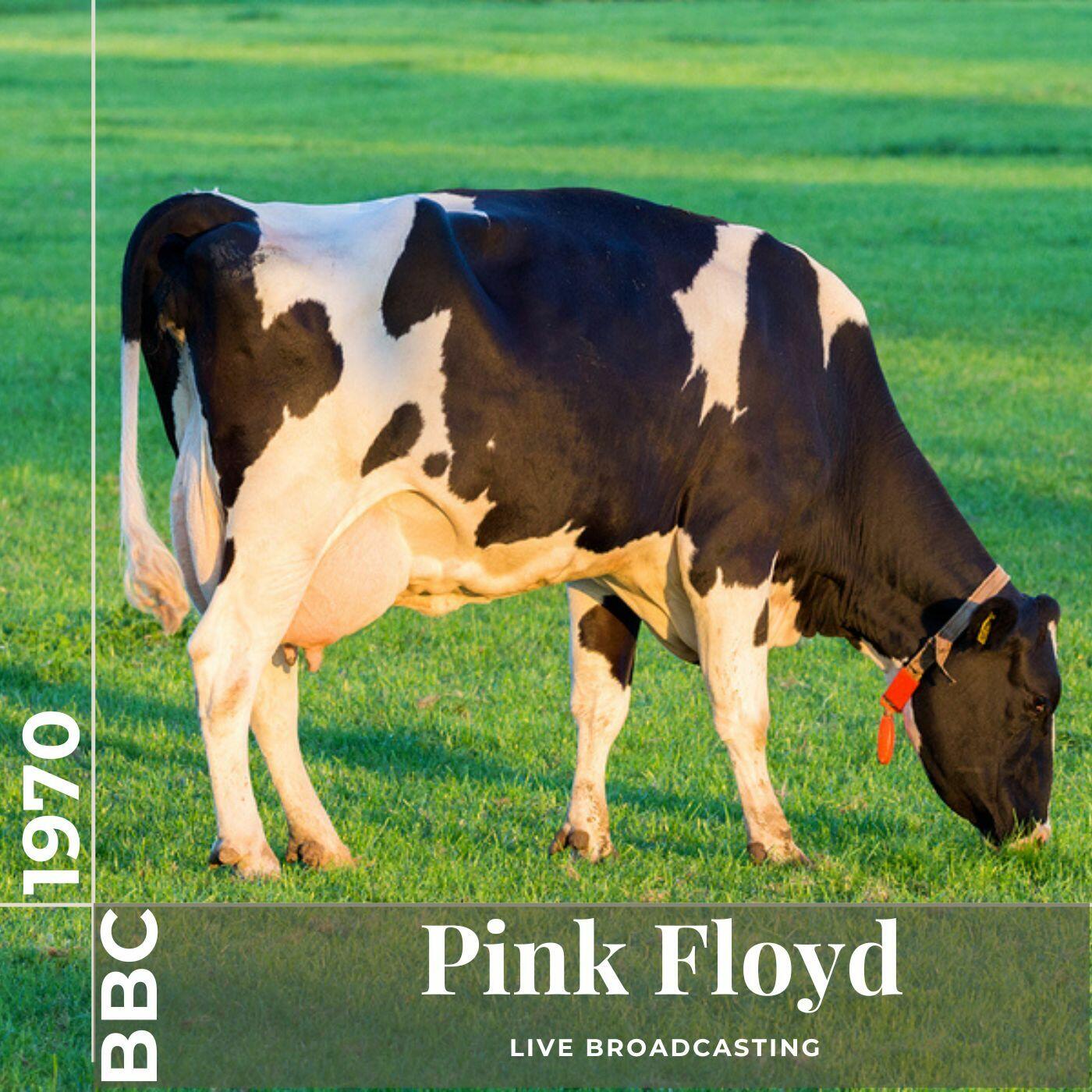 ♫ Pink Floyd