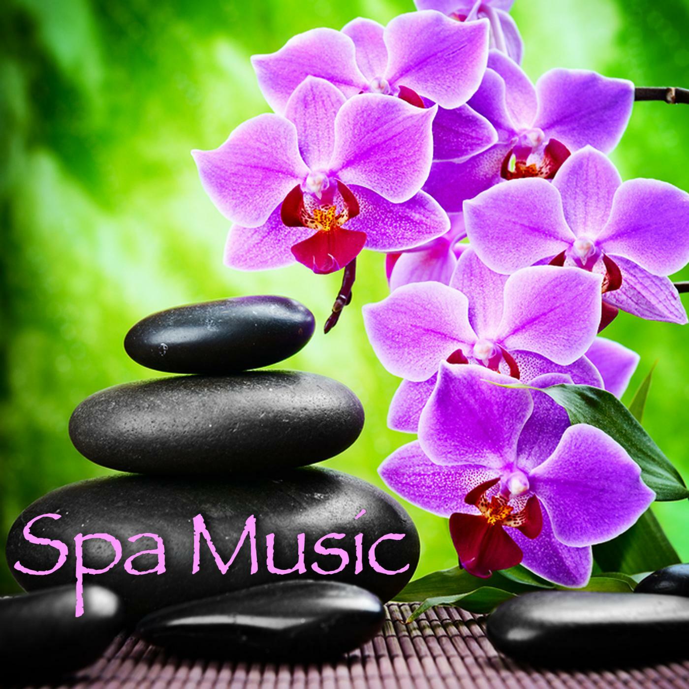 Relaxing Spa Sounds Spa Music Beautiful Harp Songs For Relaxation And Healing Iheart 