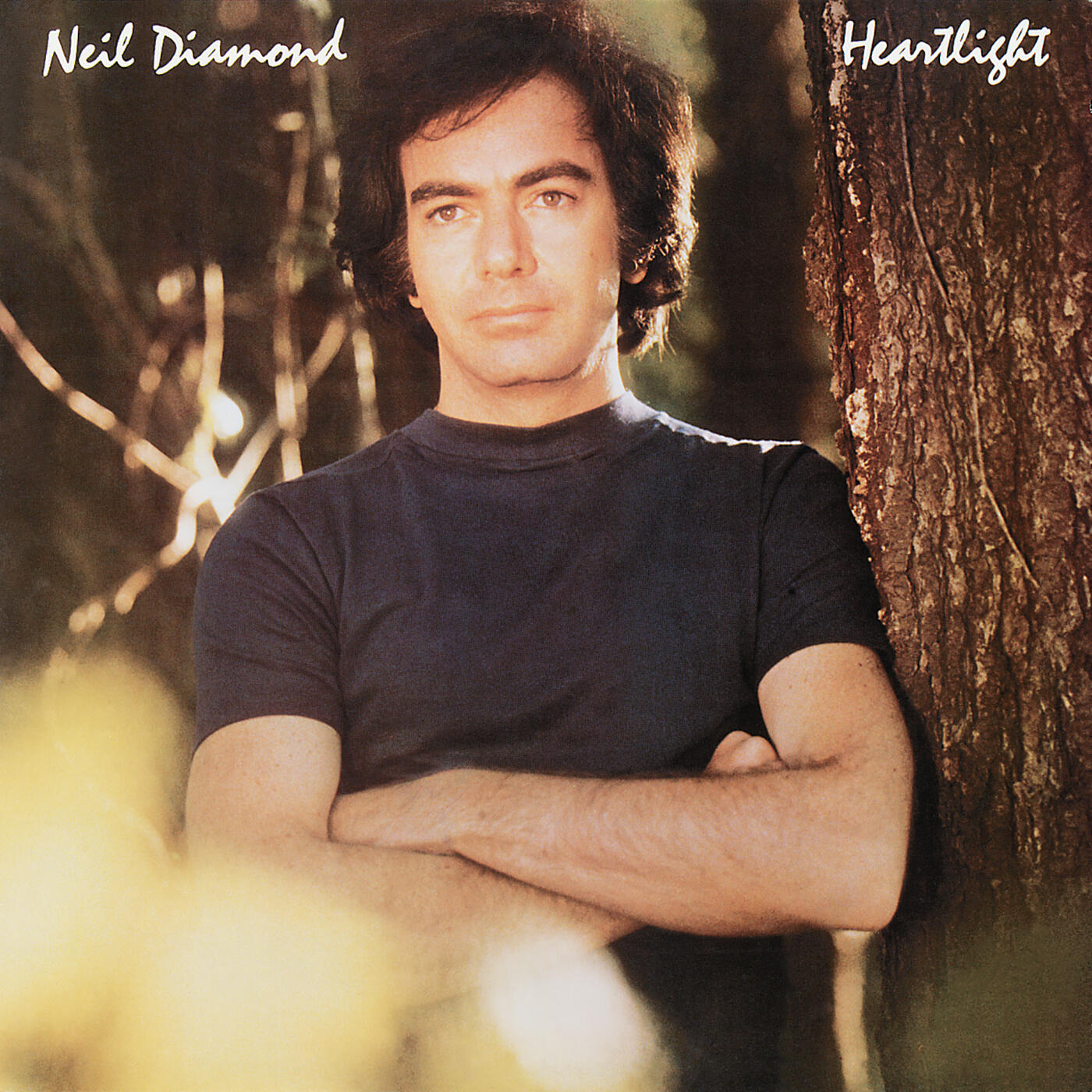Neil Diamond Heartlight iHeart