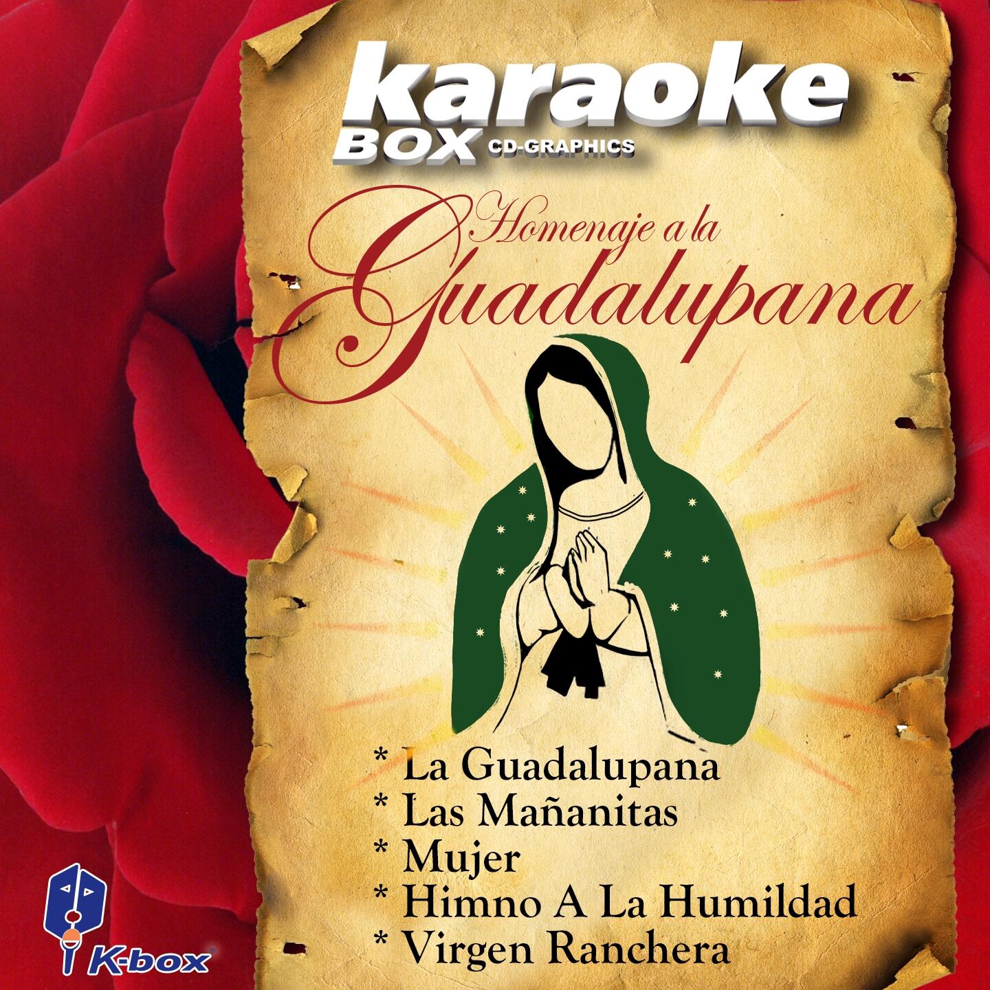 Marco Antonio Solís - Homenaje A La Guadalupana | iHeart