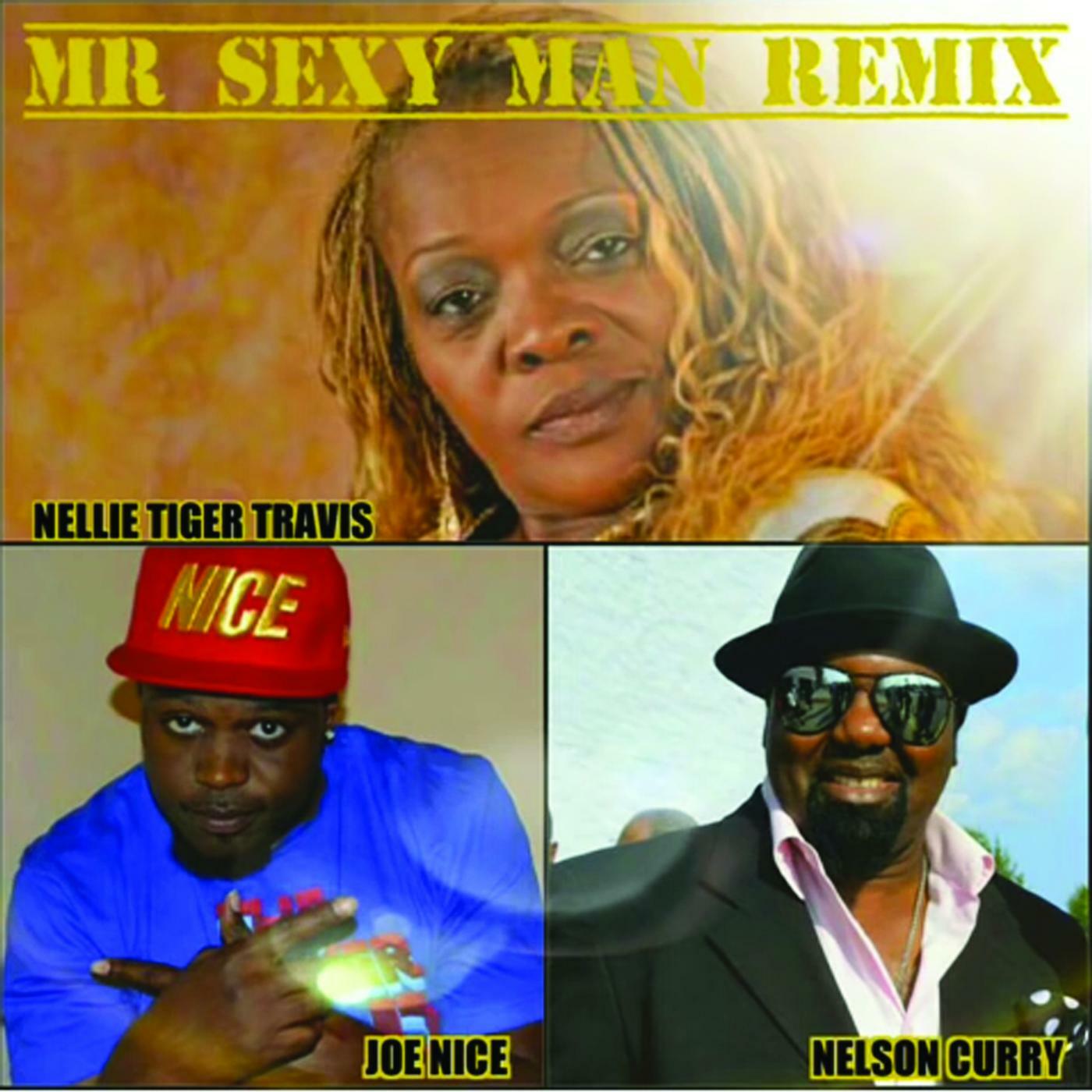 Nellie Tiger Travis Mr Sexy Man Remix Feat Nelson Curry And Joe 