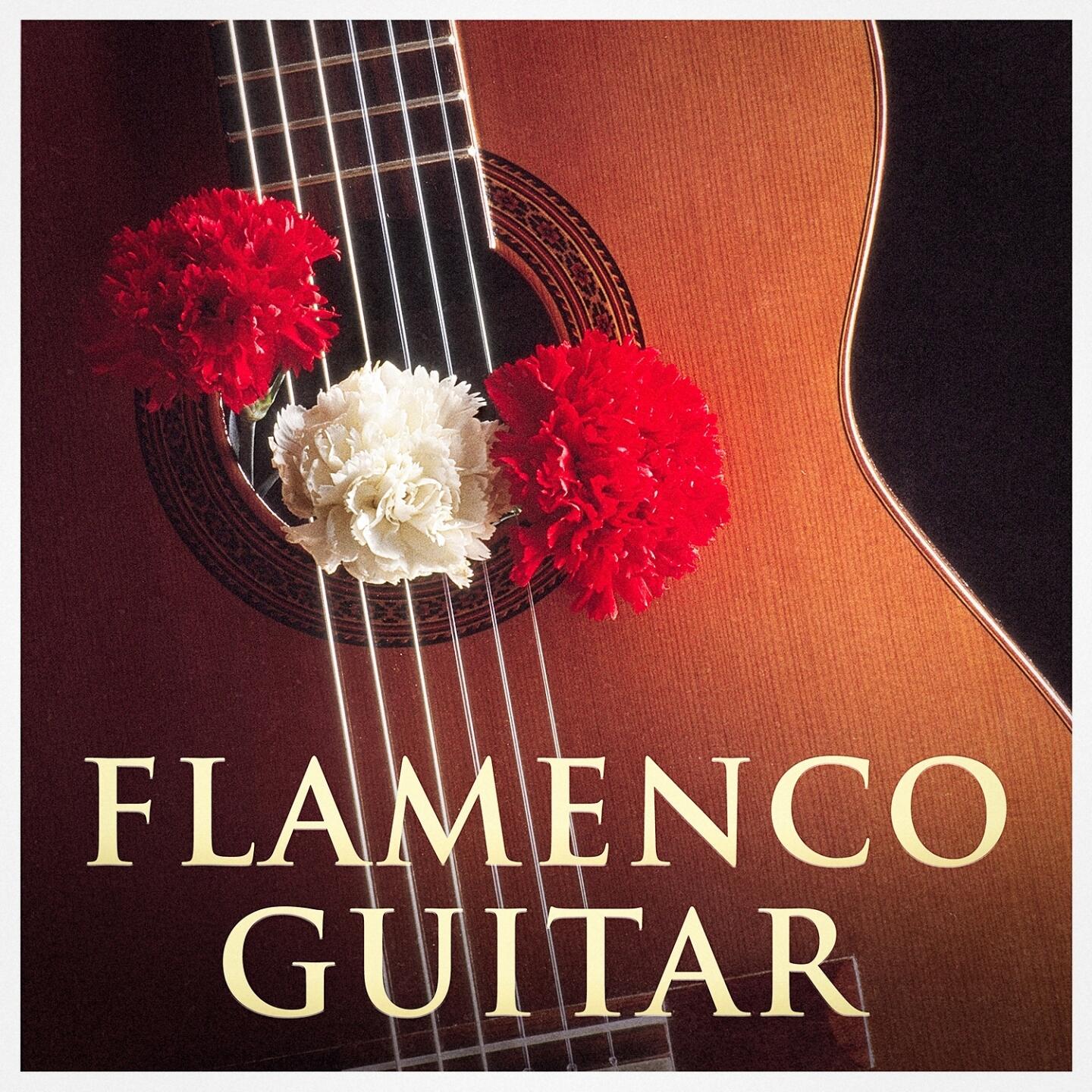 Guitar Flamenco Guitar Iheart