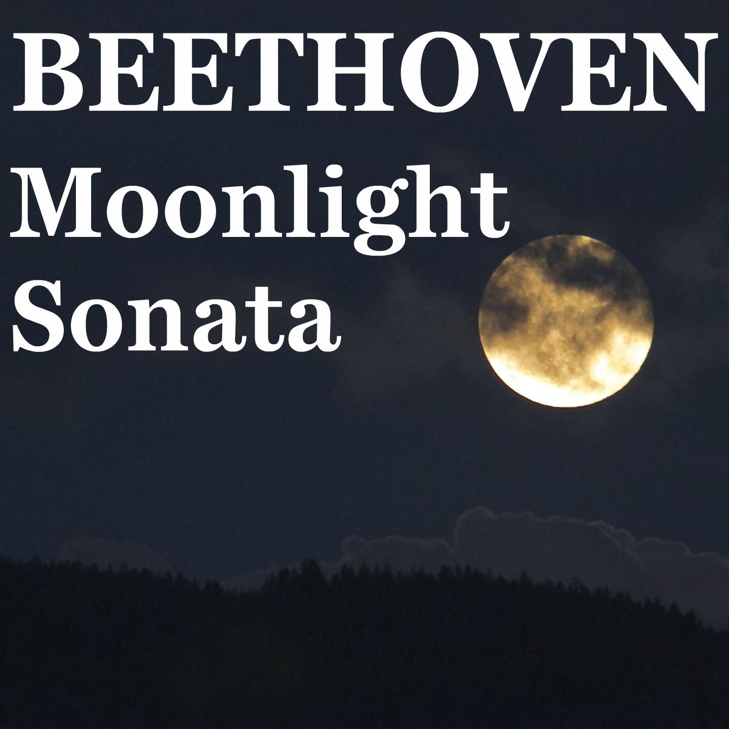 ludwig van beethoven sonata no 14 moonlight