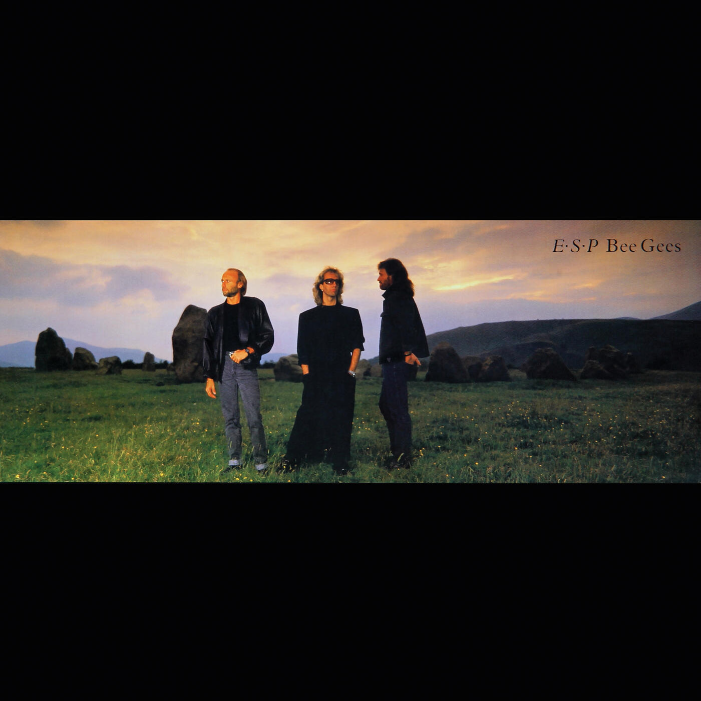 Bee Gees E.S.P. iHeart