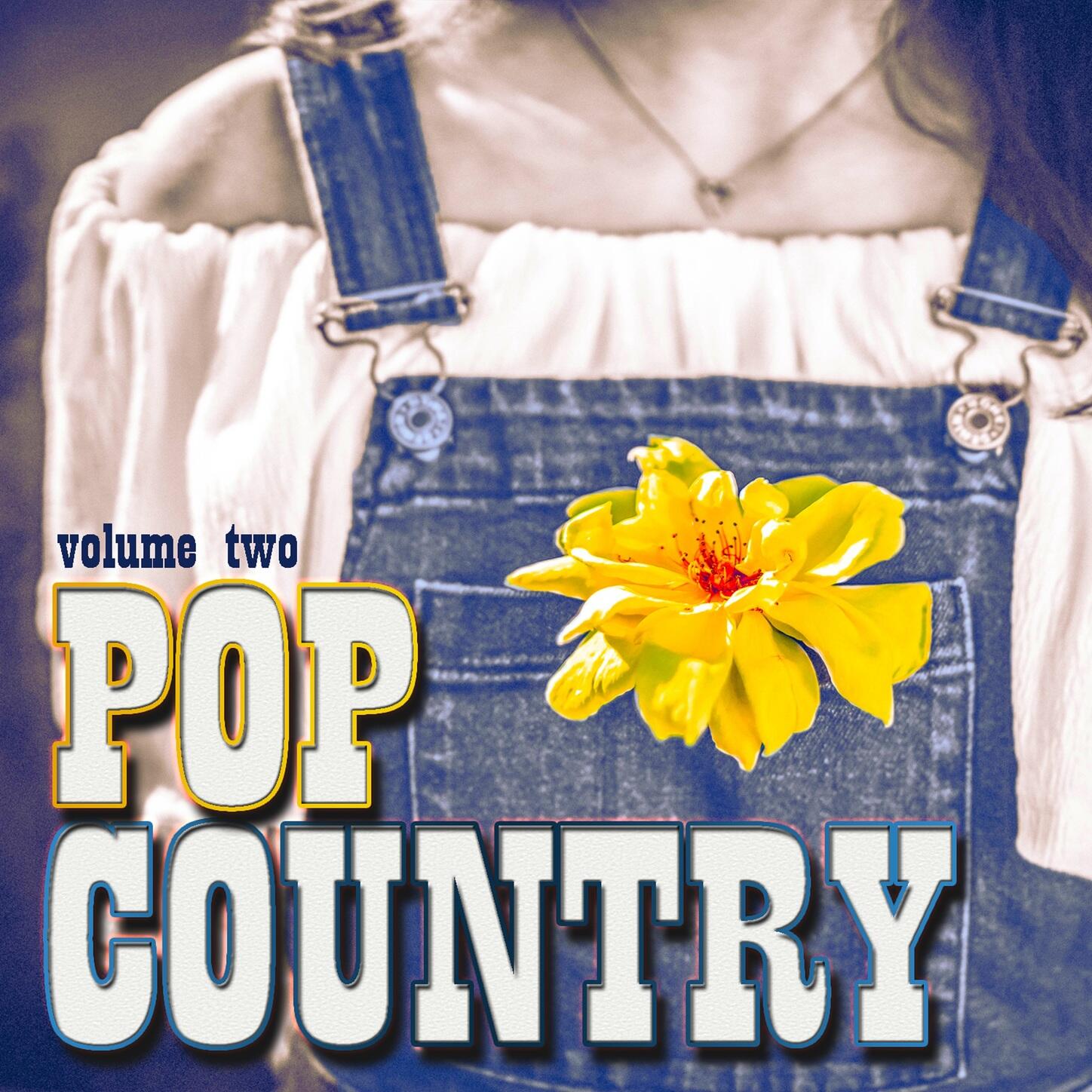 Various Artists Pop Country, Vol. 2 iHeart