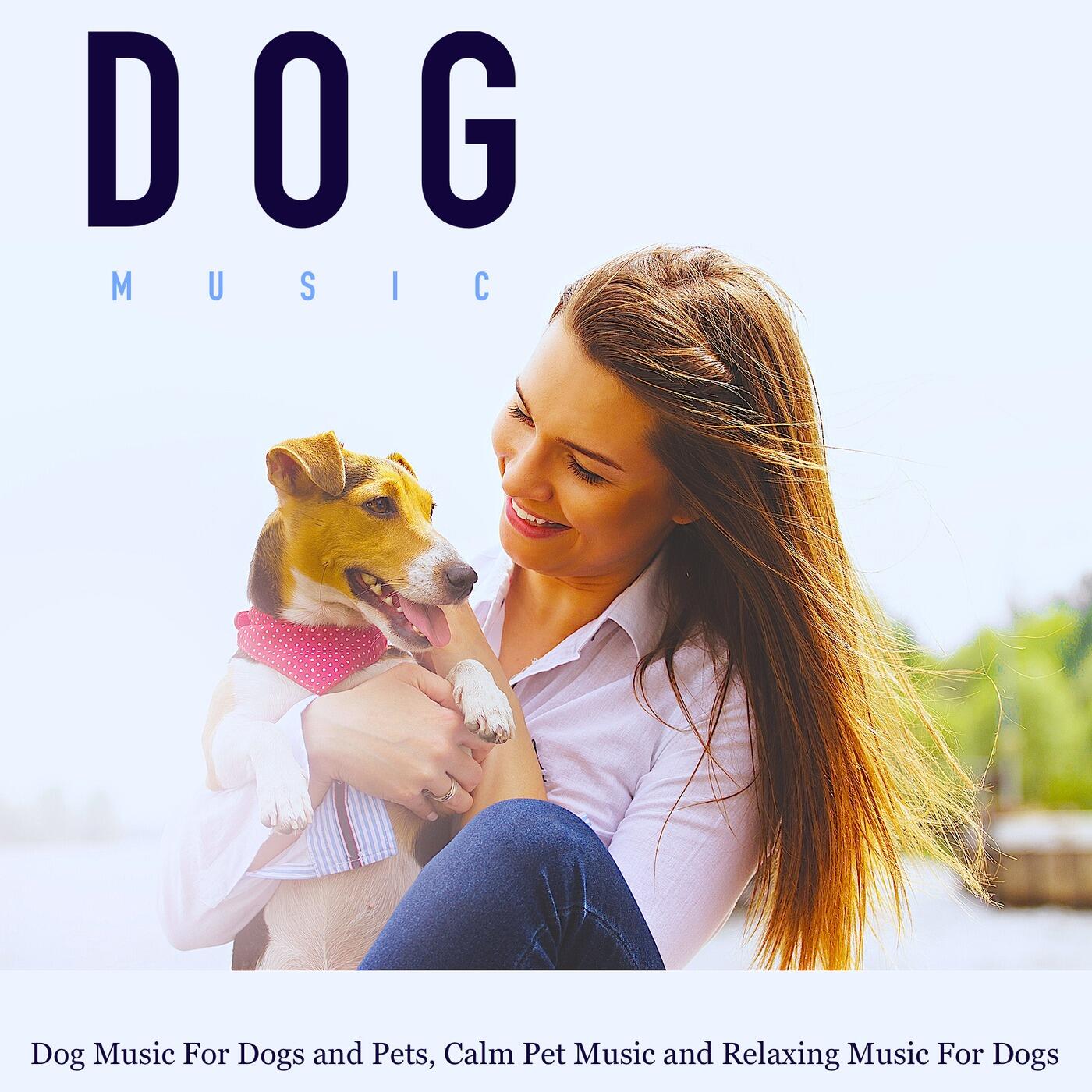 dog music soothing music for dogs