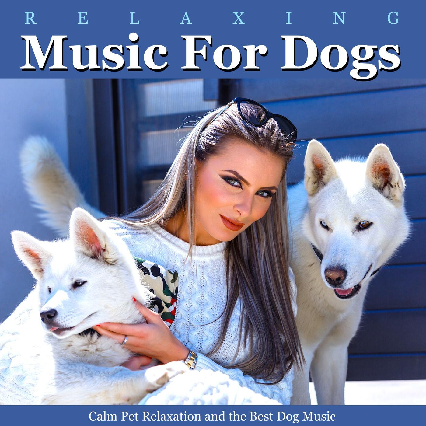 Dog music calming music best sale for dogs