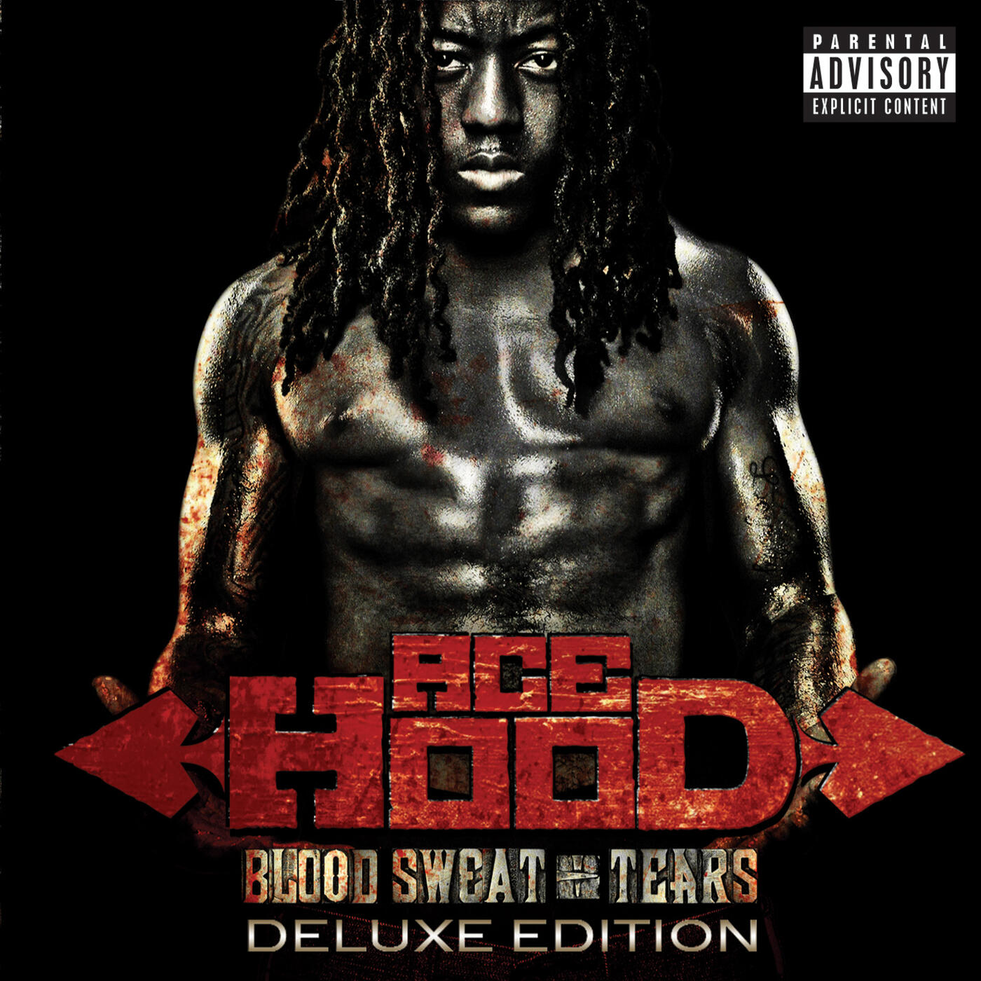 Ace Hood - Blood Sweat & Tears | iHeart