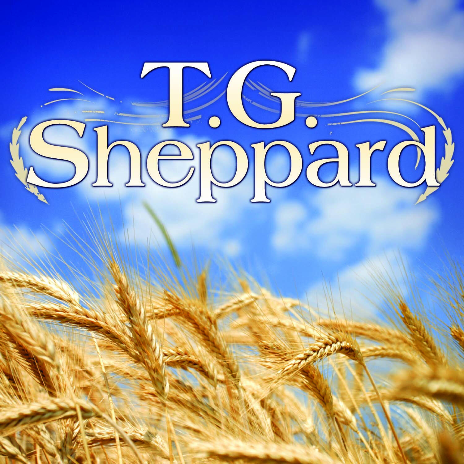 Tg Sheppard Net Worth