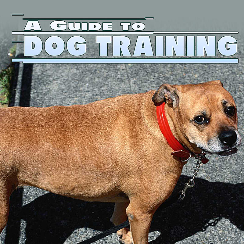 Society Of Dog Training Professionals - Guide To Dog Training | iHeart