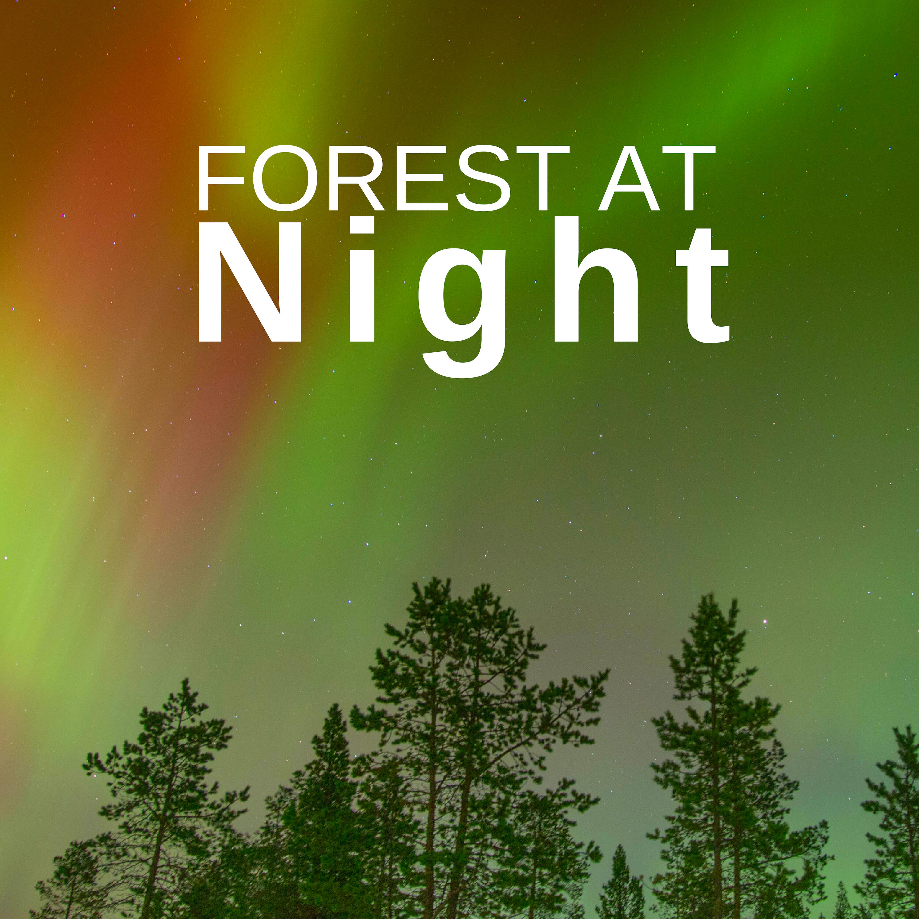 Deep Forest - Forest at Night: Relaxing Nature Night Sounds | iHeart