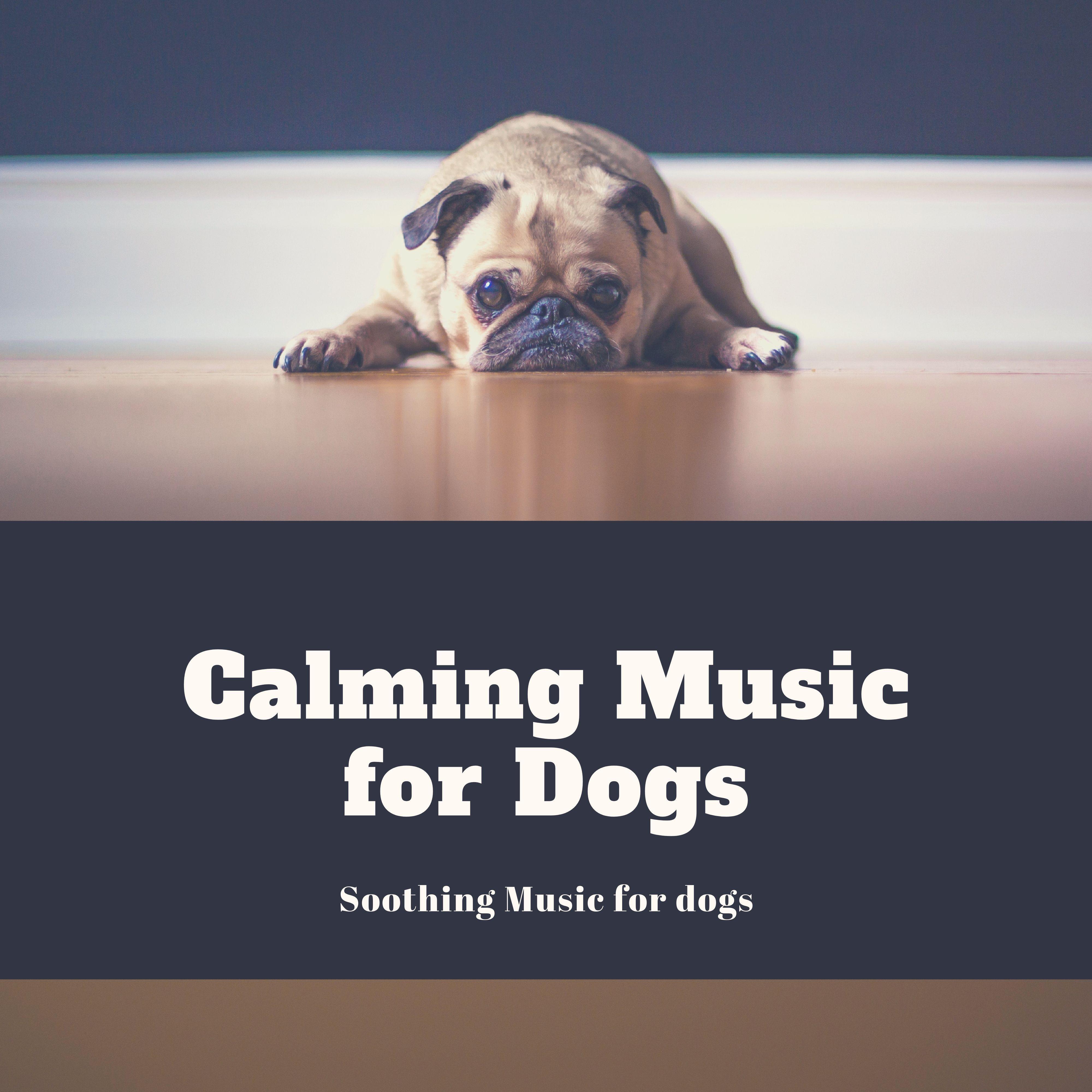 Calming Music for Dogs Calming Music for Dogs Soothing Music for Dogs iHeart