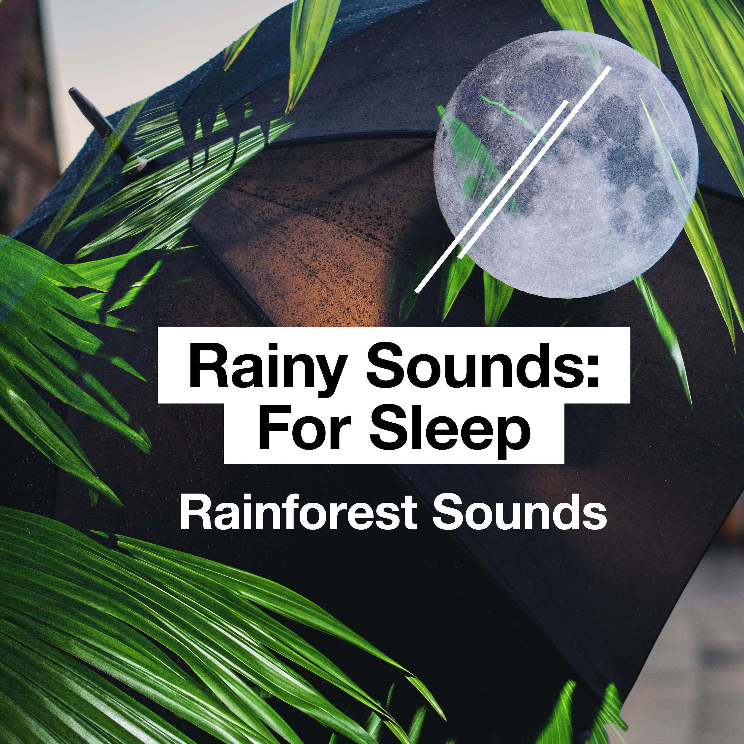 free rainforest sounds for sleep