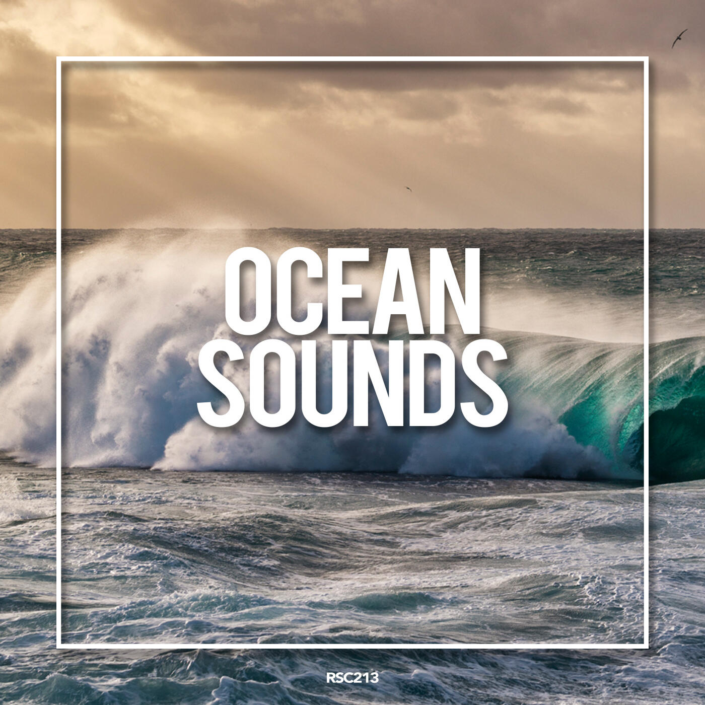 Ocean Sounds - Ocean Sounds | iHeart