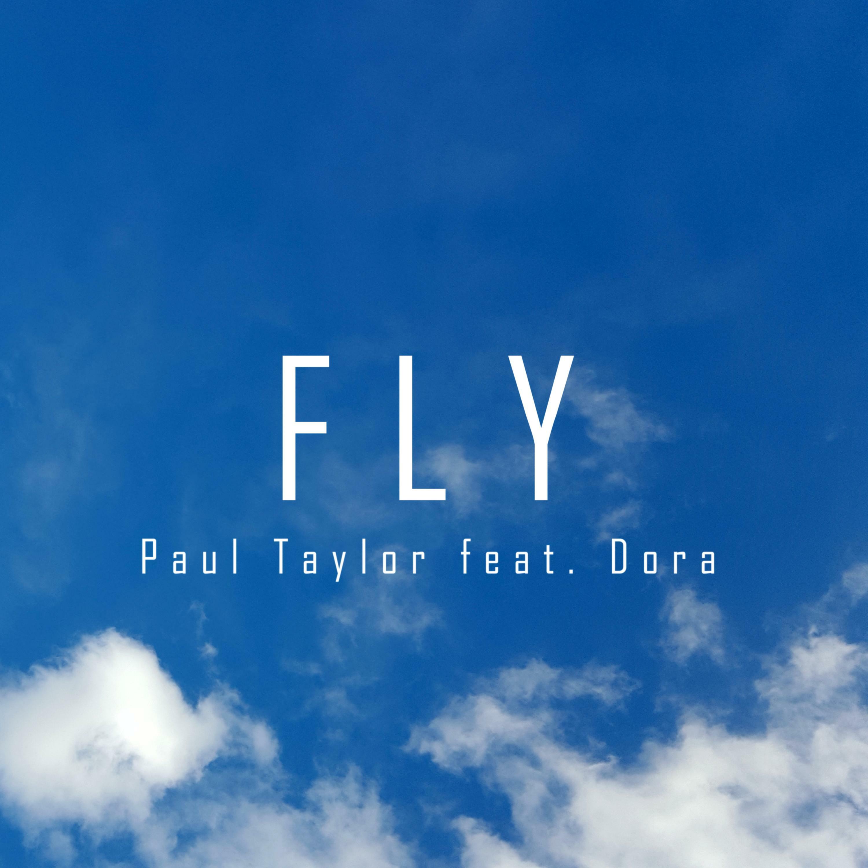 Paul Taylor - Fly | iHeart