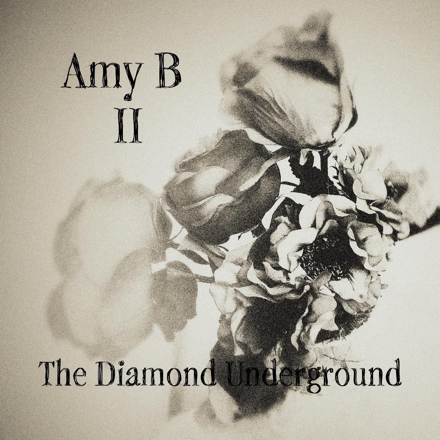 The Diamond Underground - Amy B II | IHeart