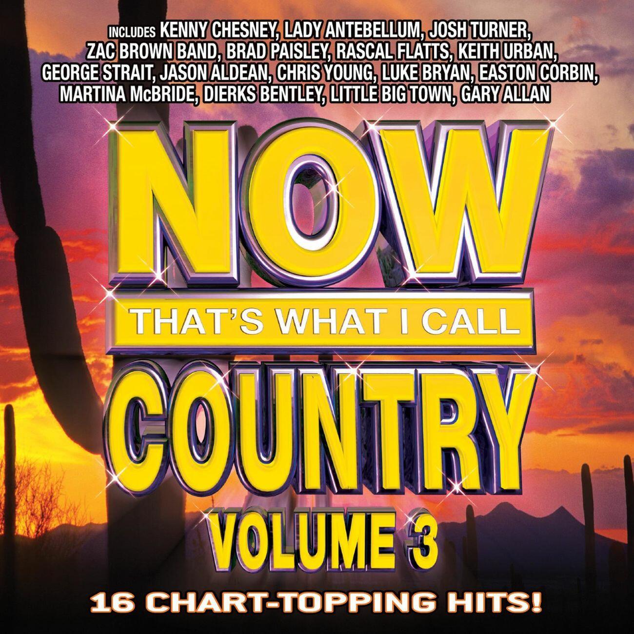 Various Artists - Now That's What I Call Country Volume 3 