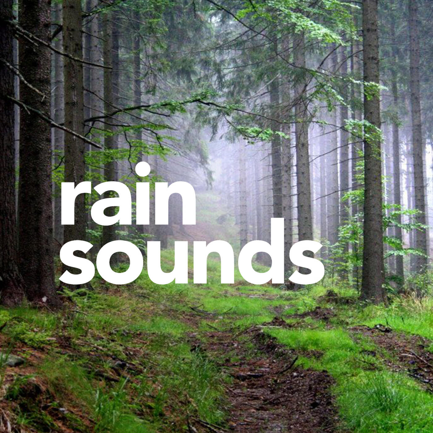 Rain Sounds Rain Sounds iHeart