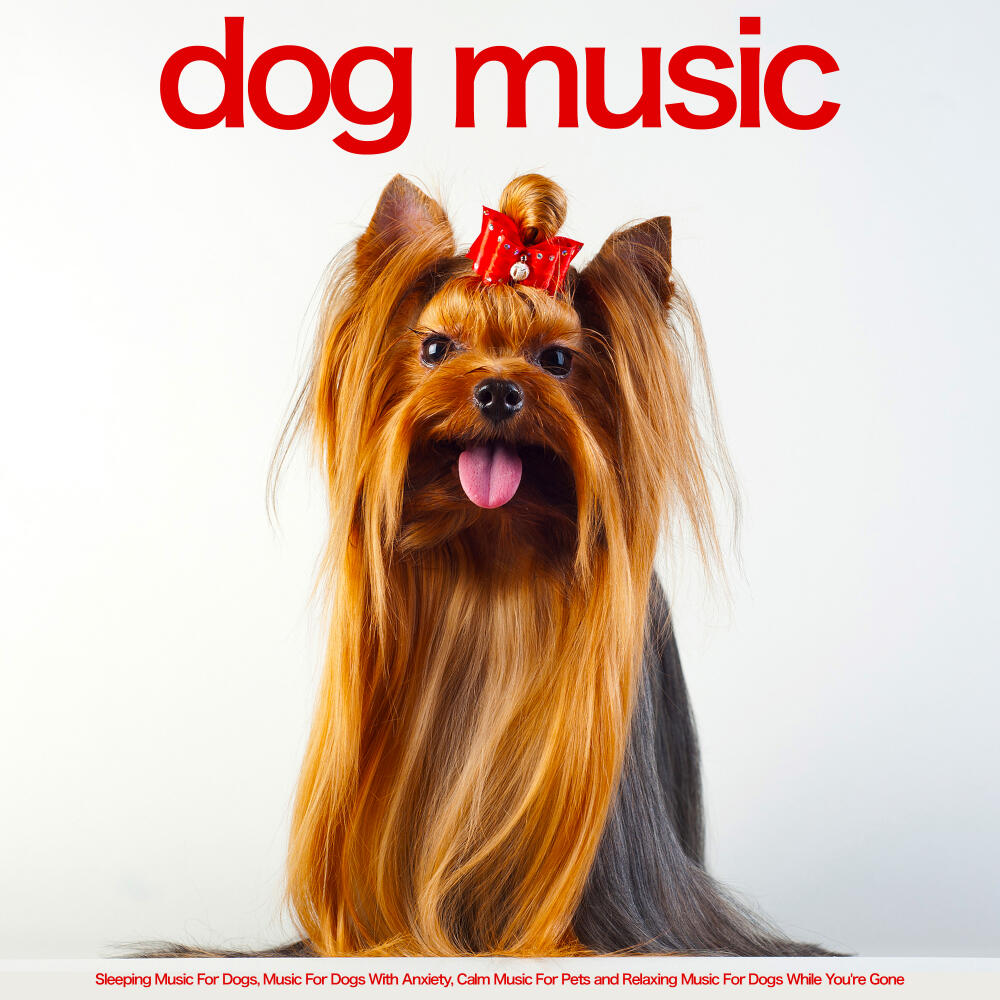 Music to calm dogs best sale with anxiety