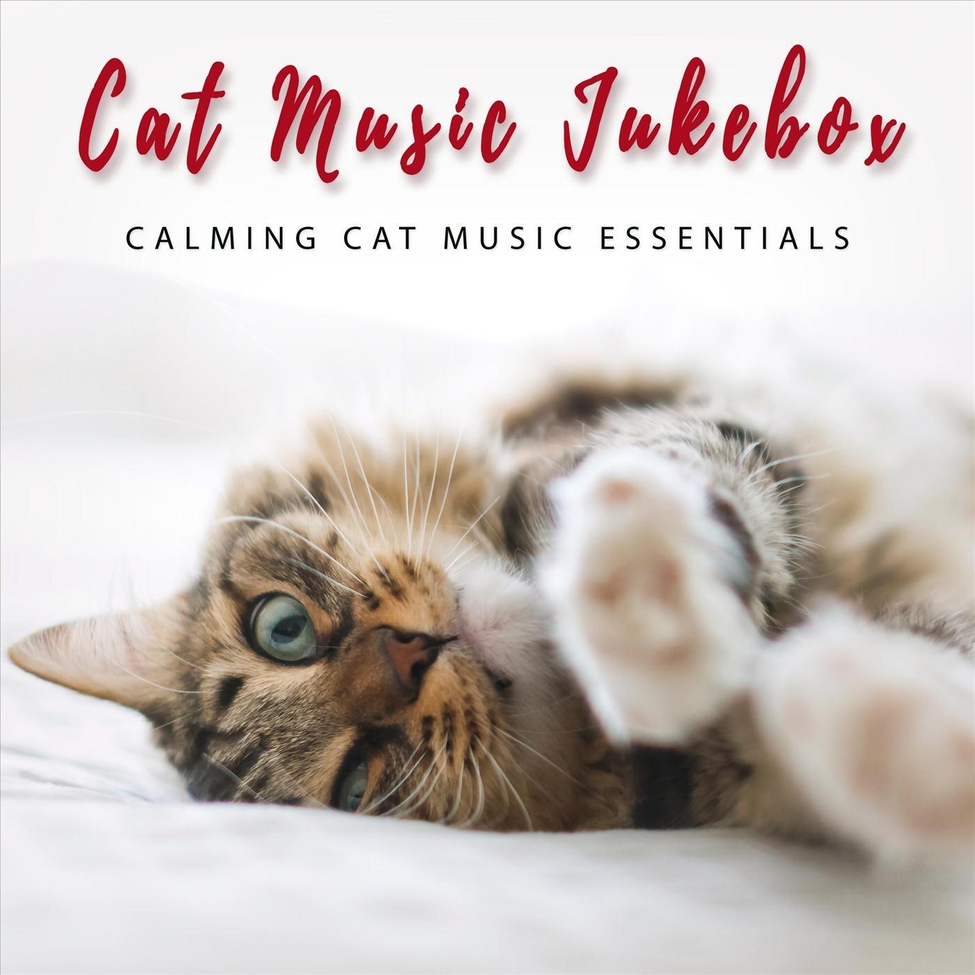 Cat Music Jukebox Calming Cat Music Essentials iHeart