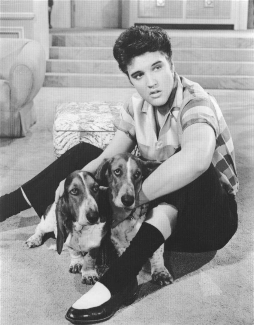 70's 〜 Elvis Presley スタジャン　USA製 ヴィンテージ 70's 〜 Elvis Presley スタジャン USA製 ヴィンテージ 70´s