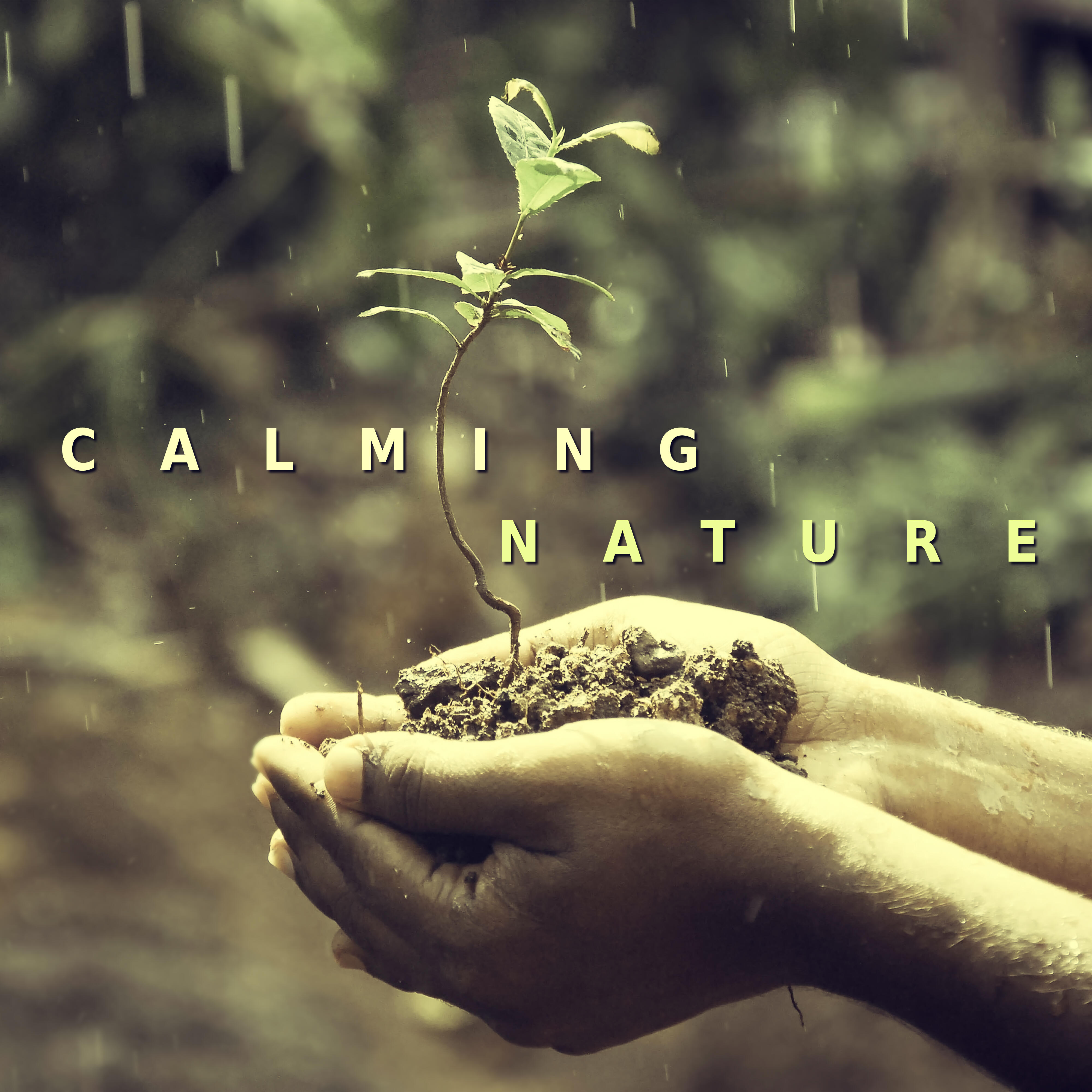 The Calming Sounds of Nature | iHeart