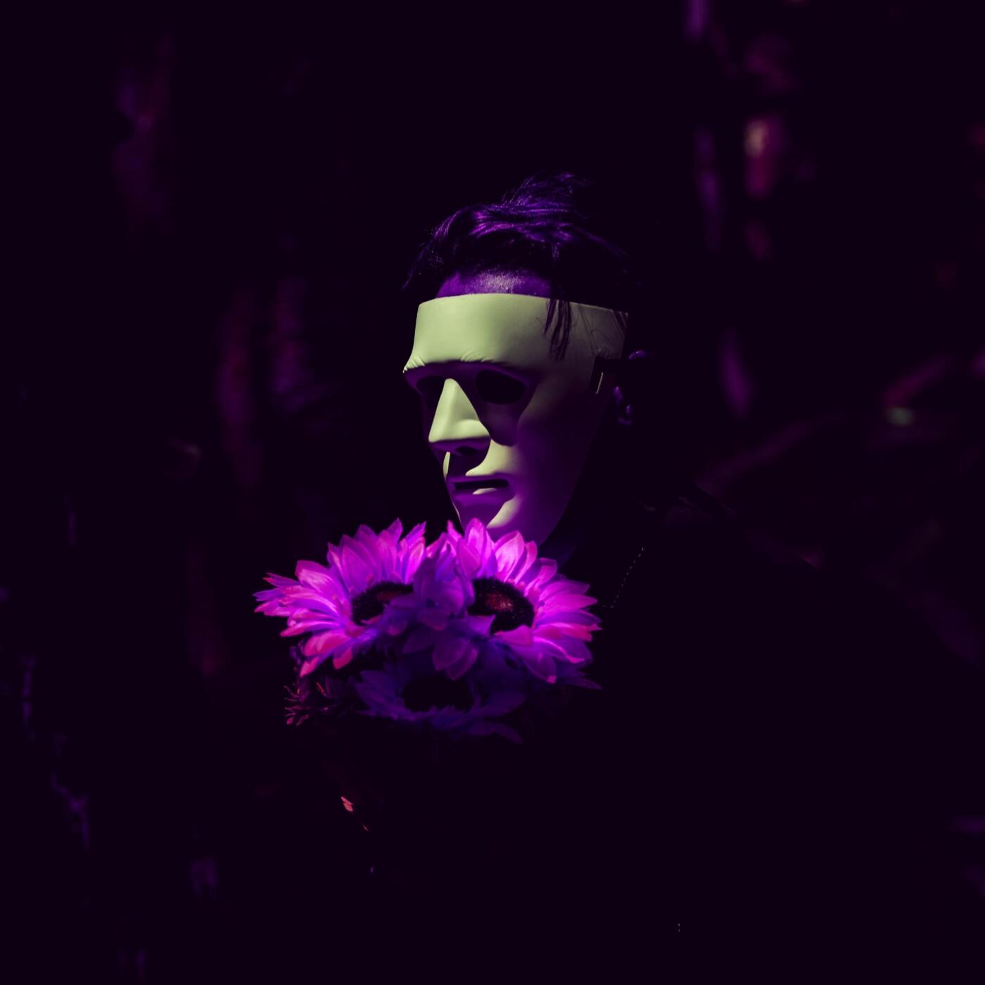 A History of Violets iHeart