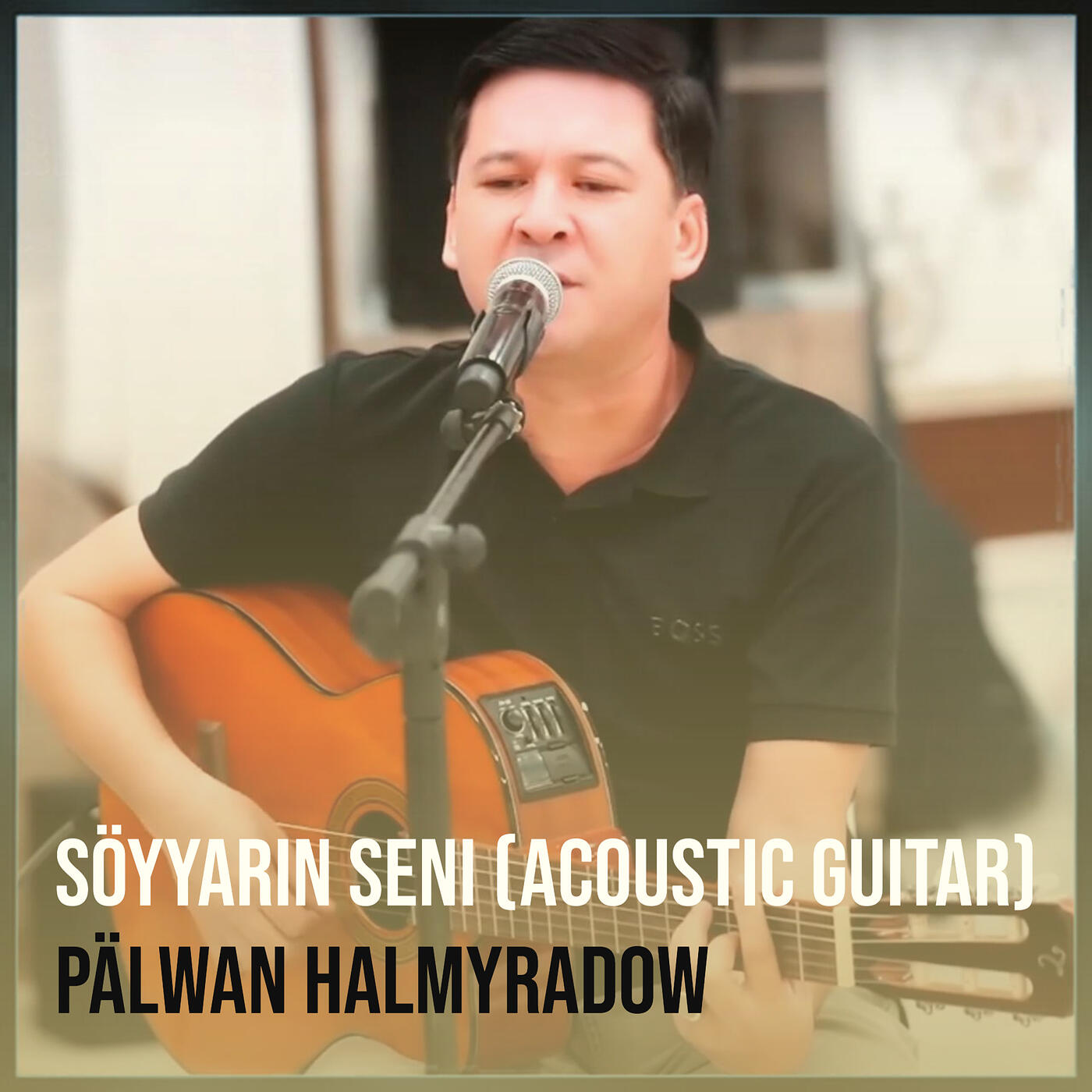 palwan halmyradow dost mp3 yukle