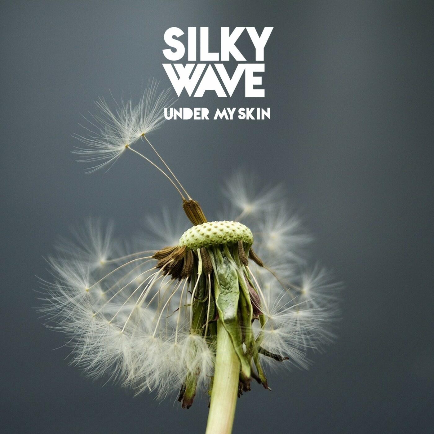 SILKY WAVE | iHeart