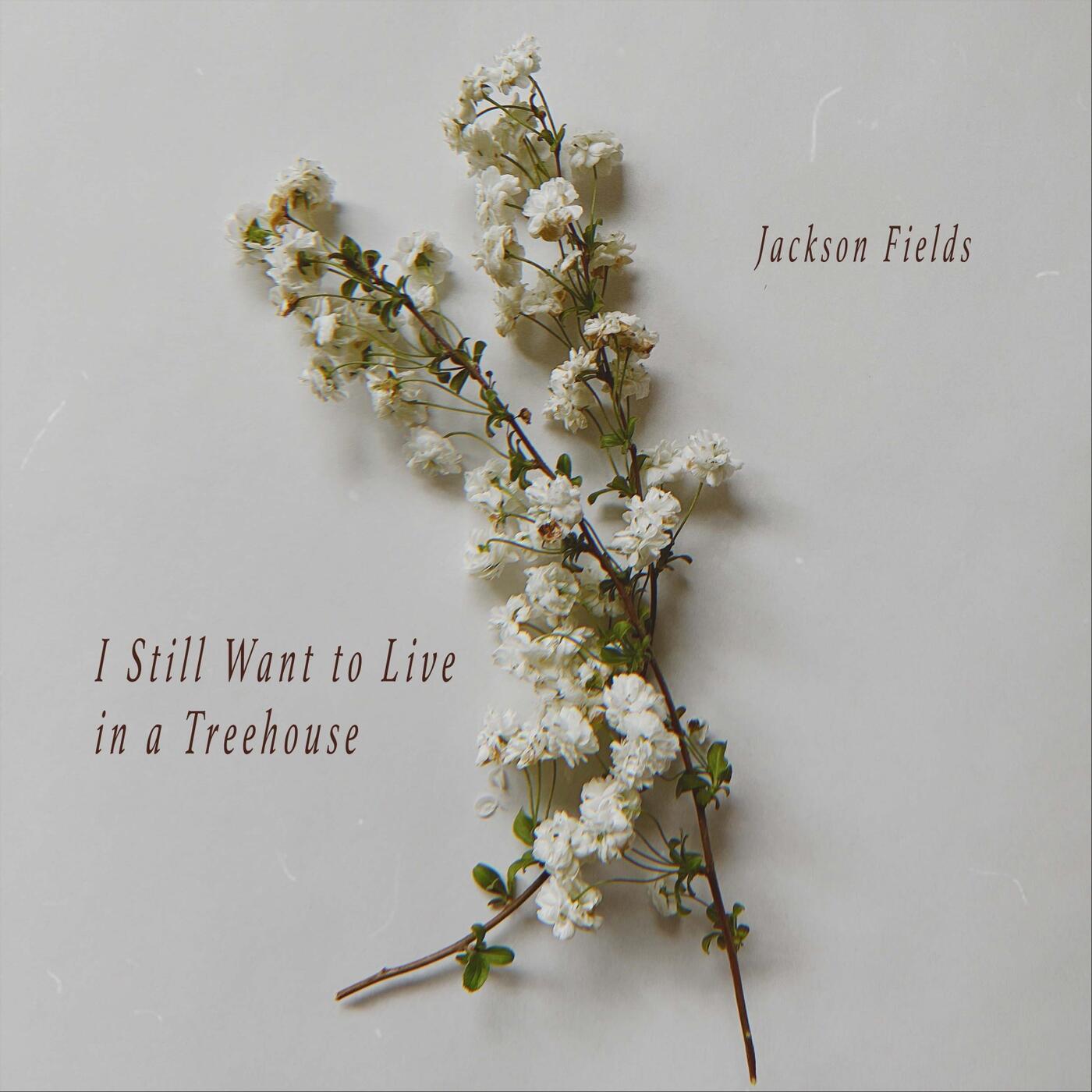 Stream Music from Artists Like Jackson Fields iHeart