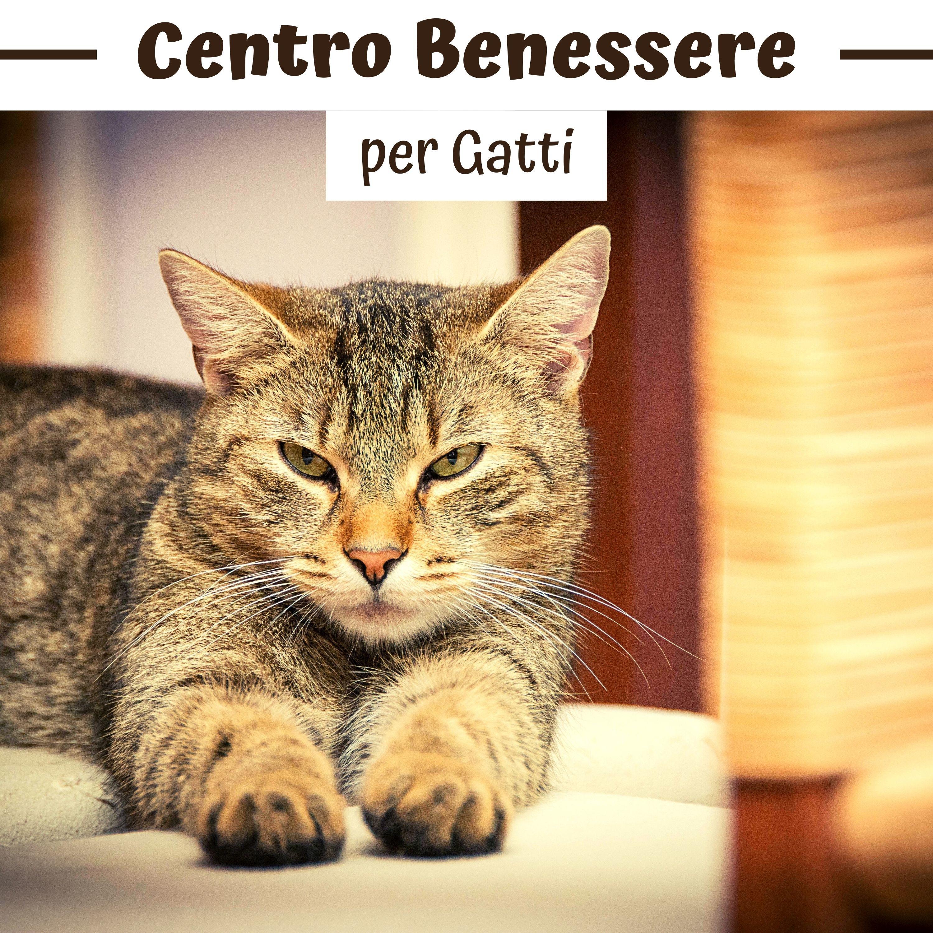 Gatto Matto | iHeart