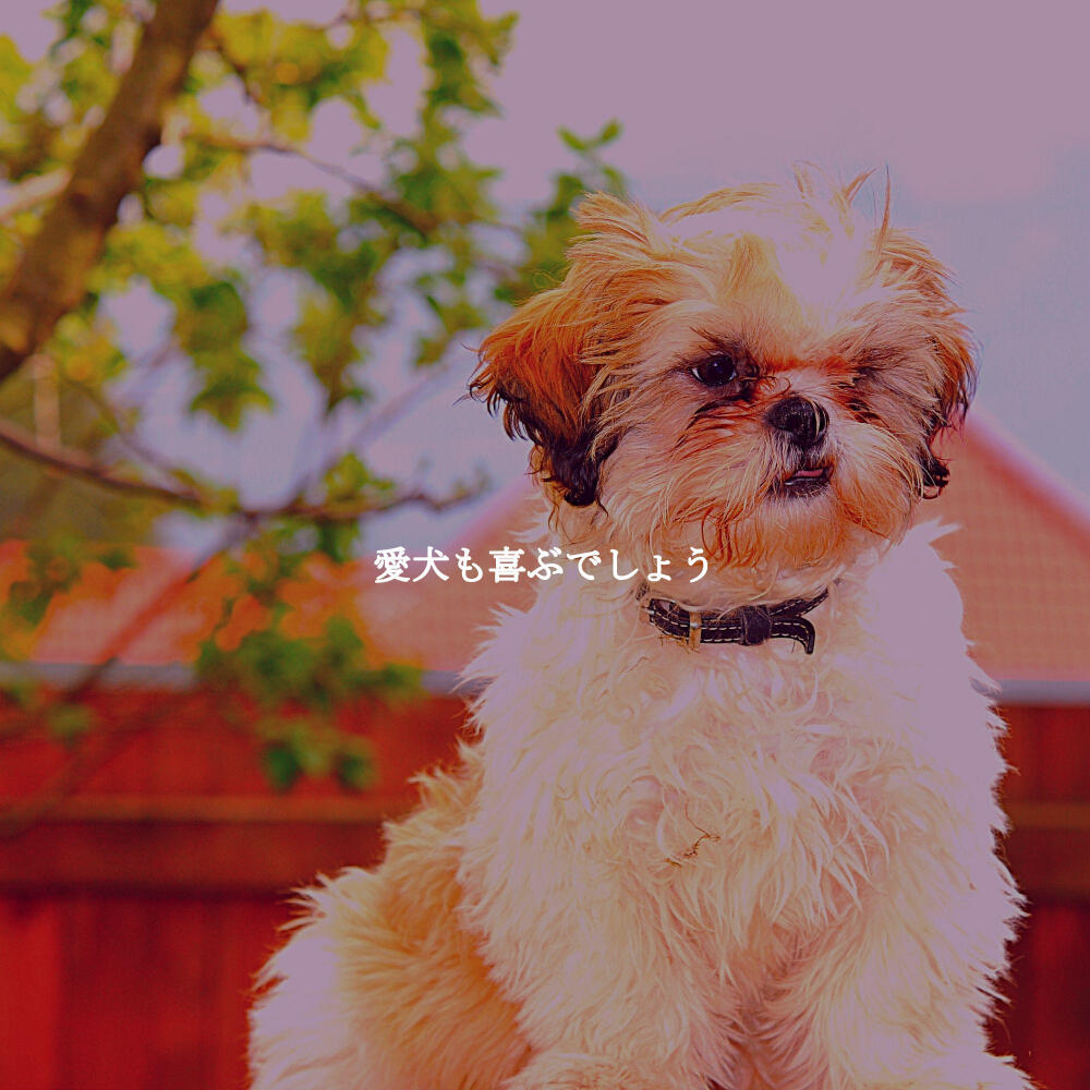 Instrumental Chill Jazz | iHeart