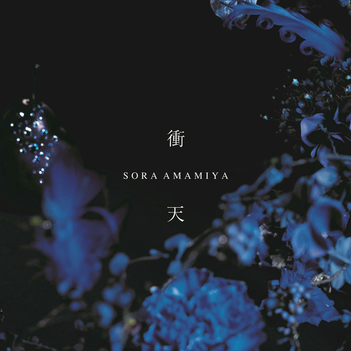 Sora Amamiya, Artista