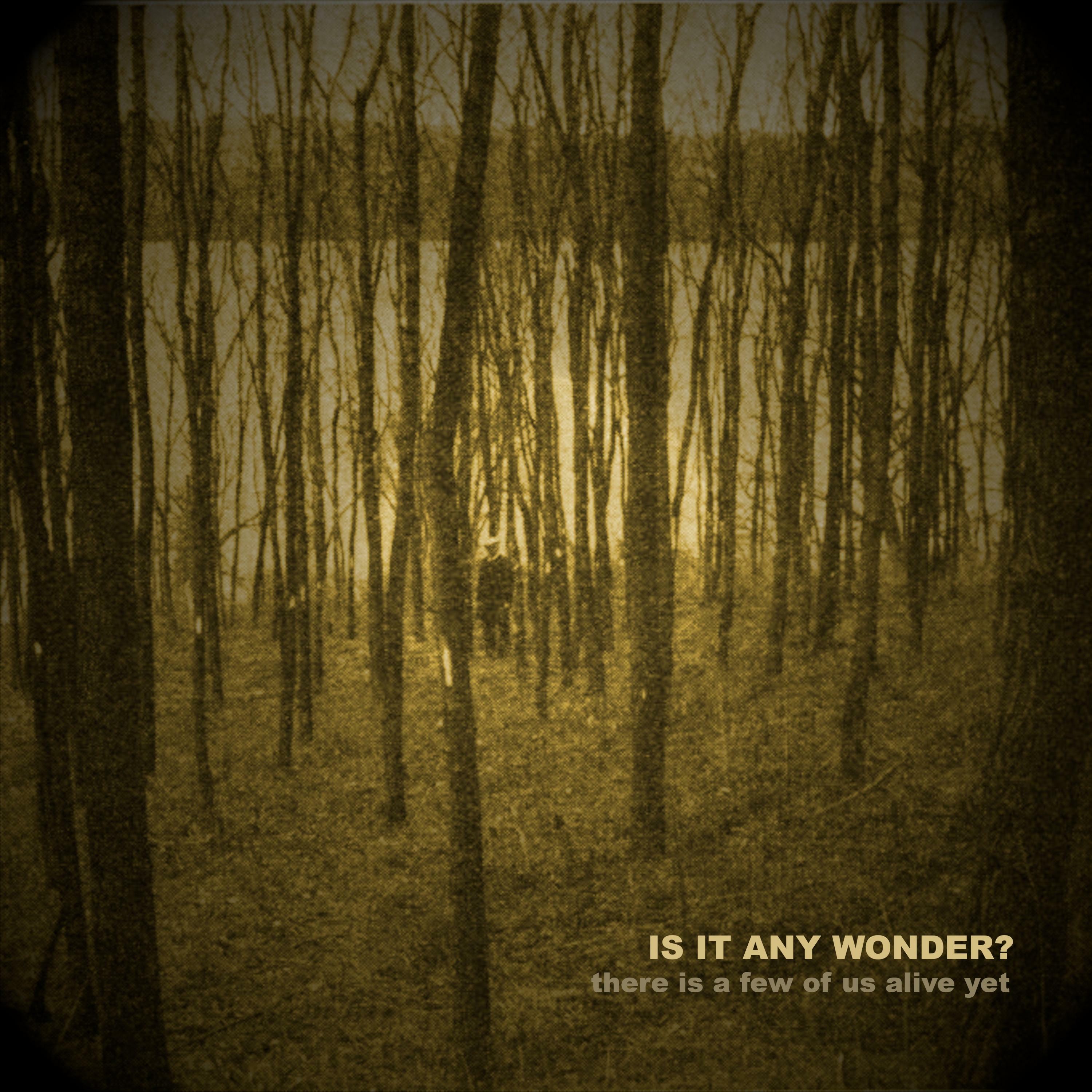 Is It Any Wonder iHeart