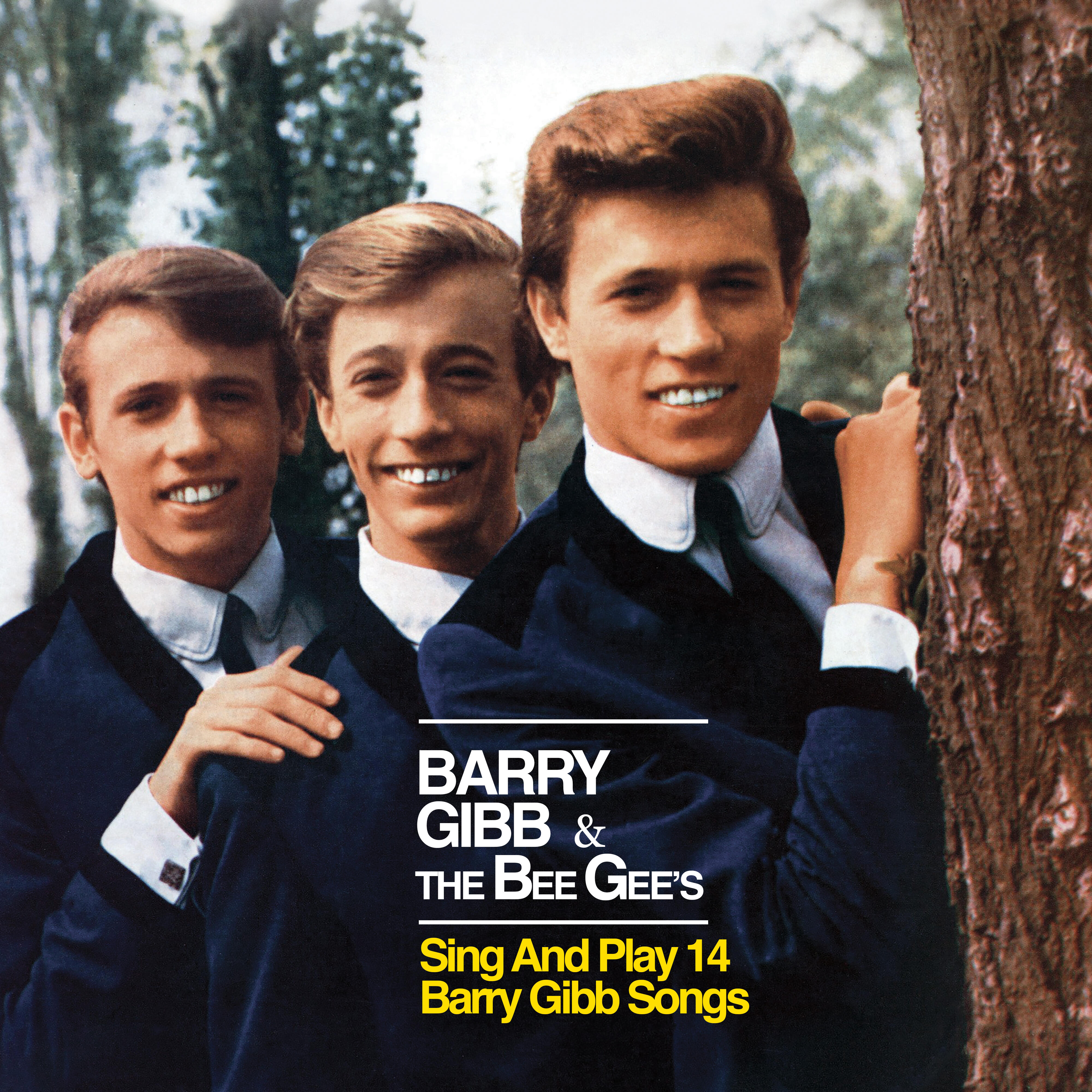 bee gees barry gibb tour