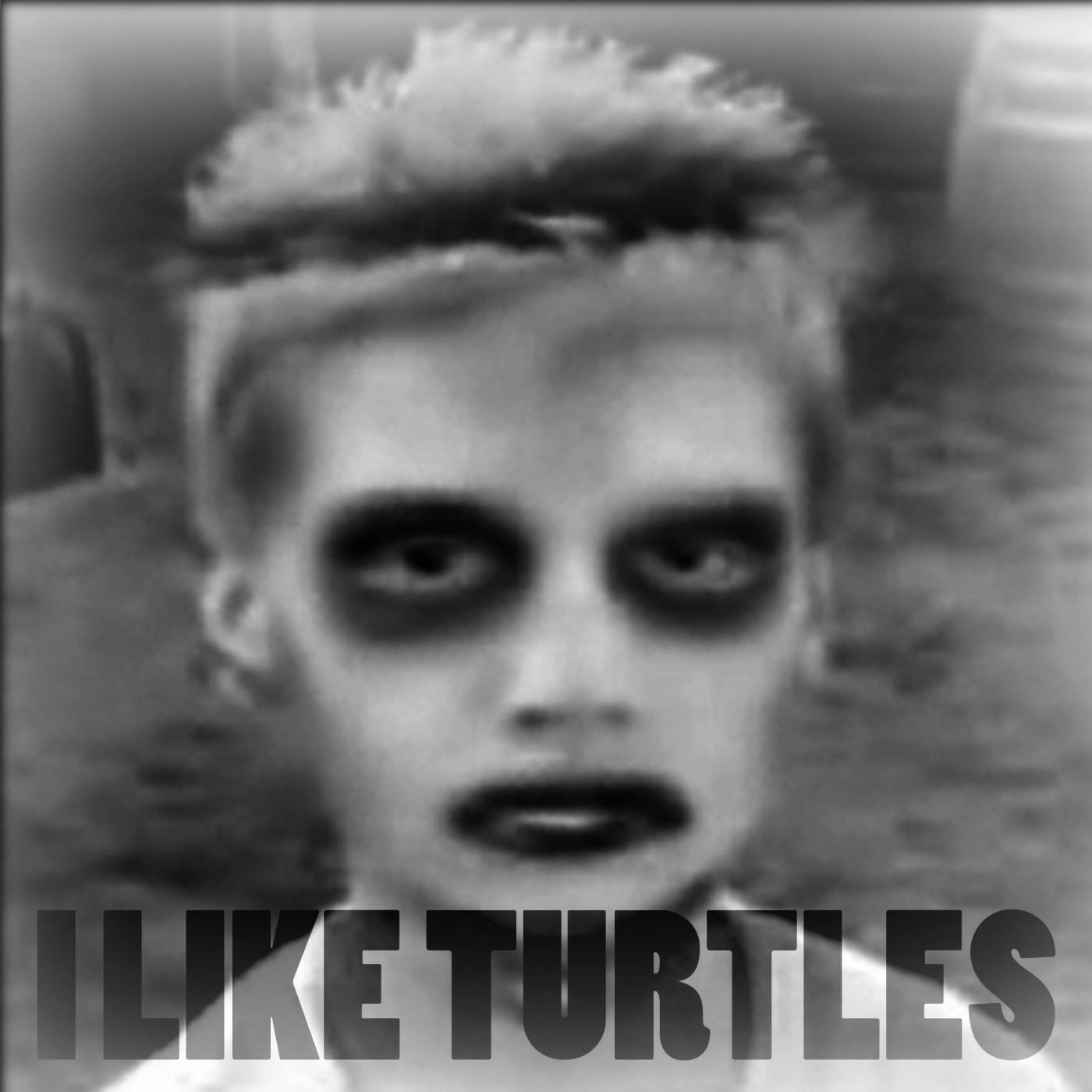 turtle kid video