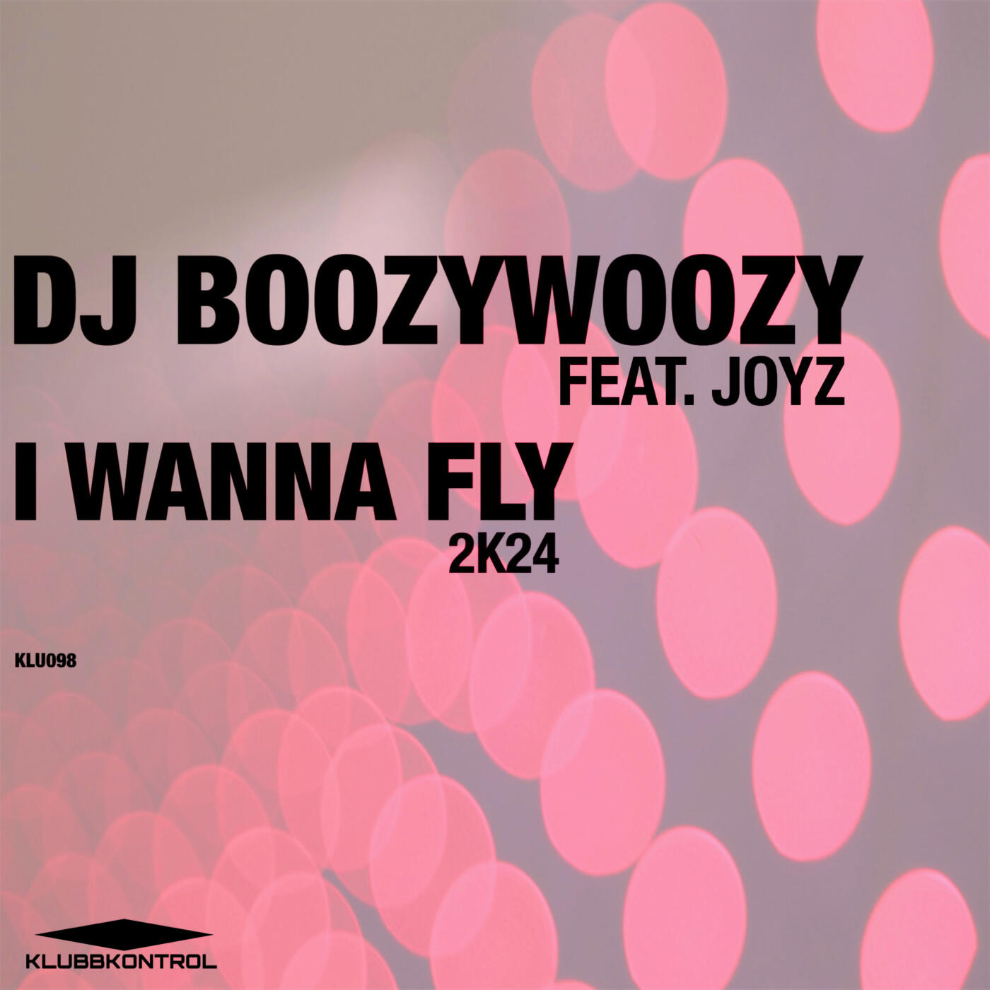 dj boozywoozy