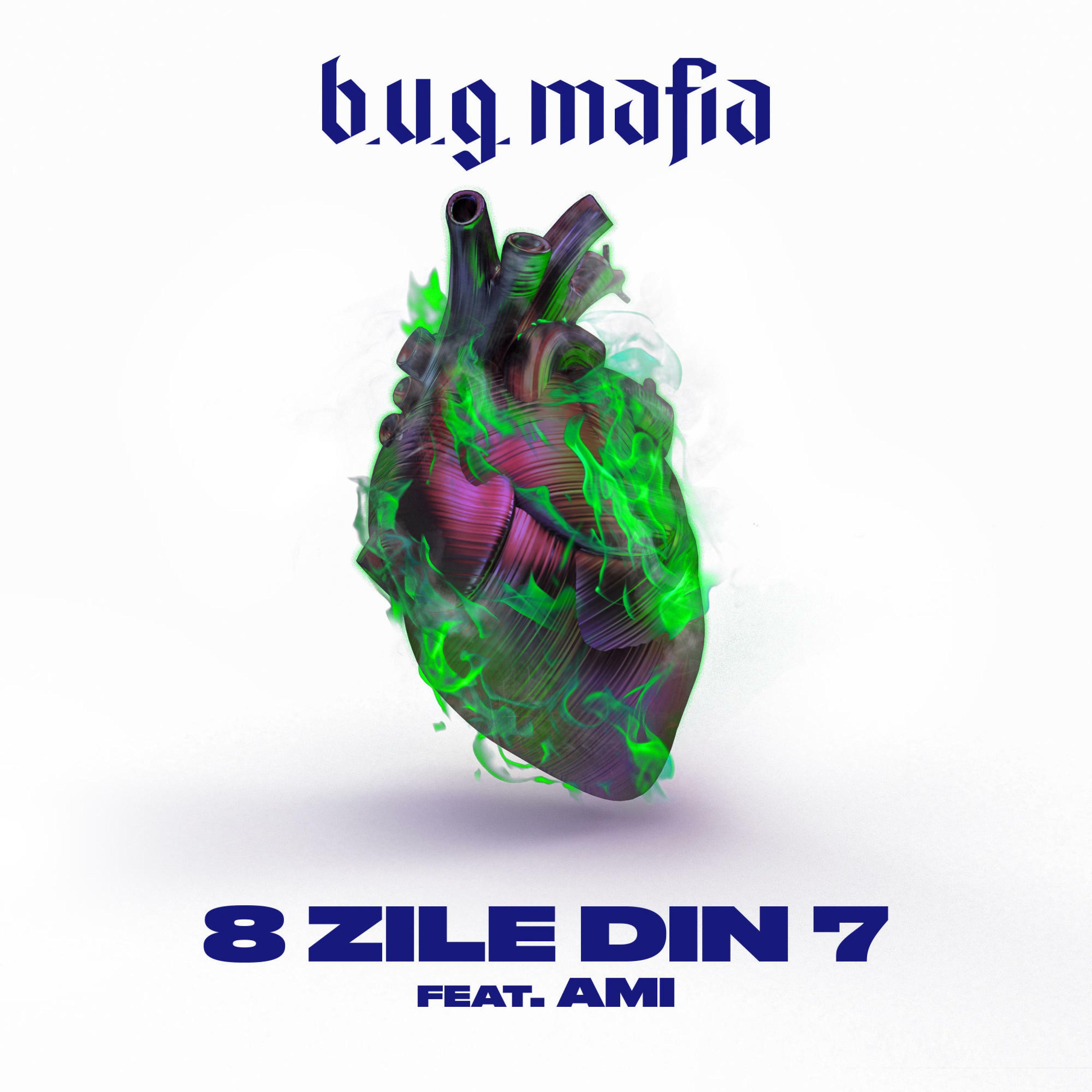 bug mafia 8 din 7