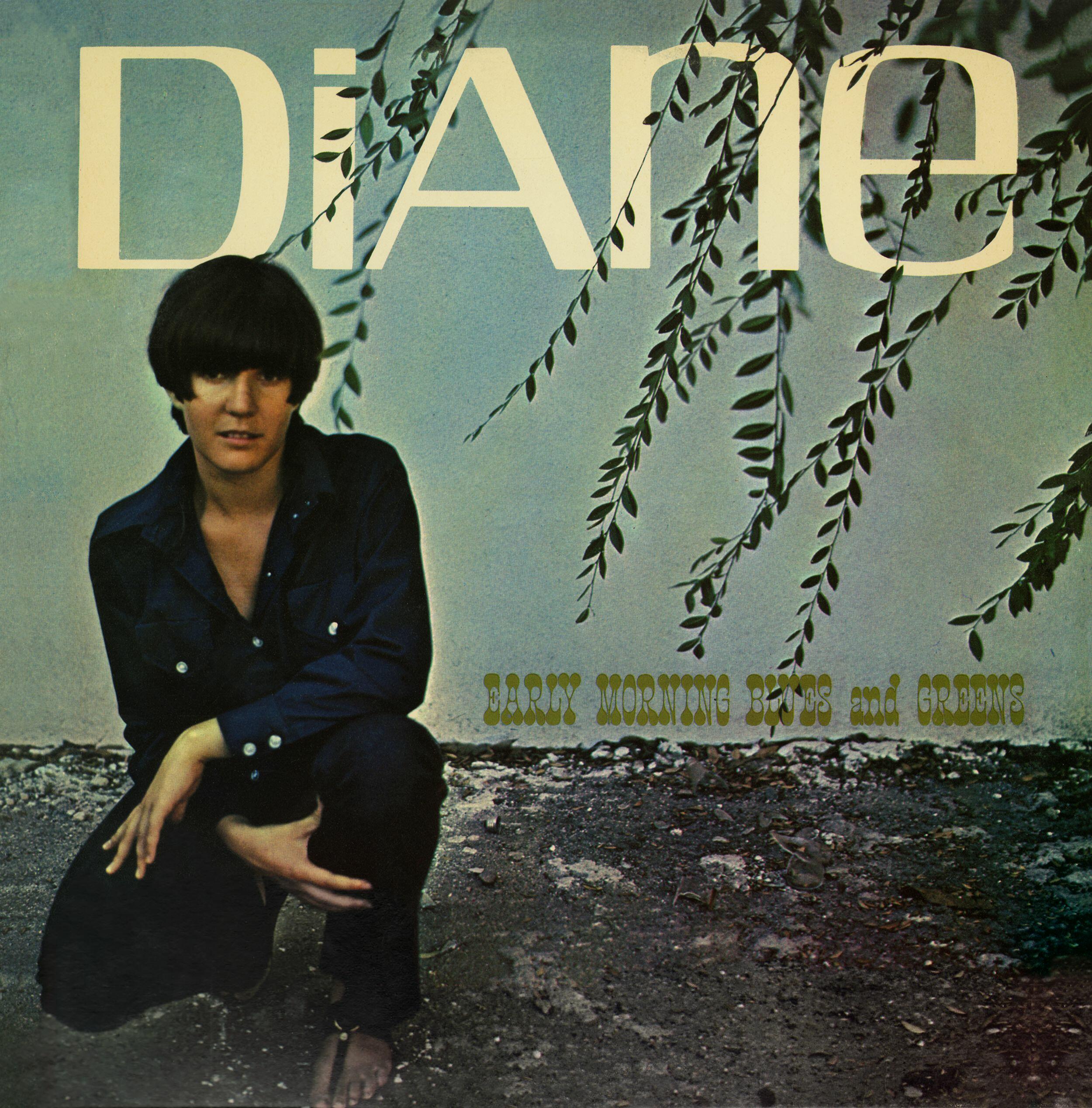 Diane Hildebrand iHeart